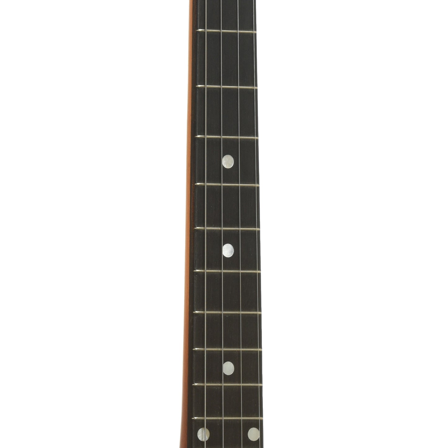 Fretboard of Gibson TB-1 Trapdoor Tenor Banjo 