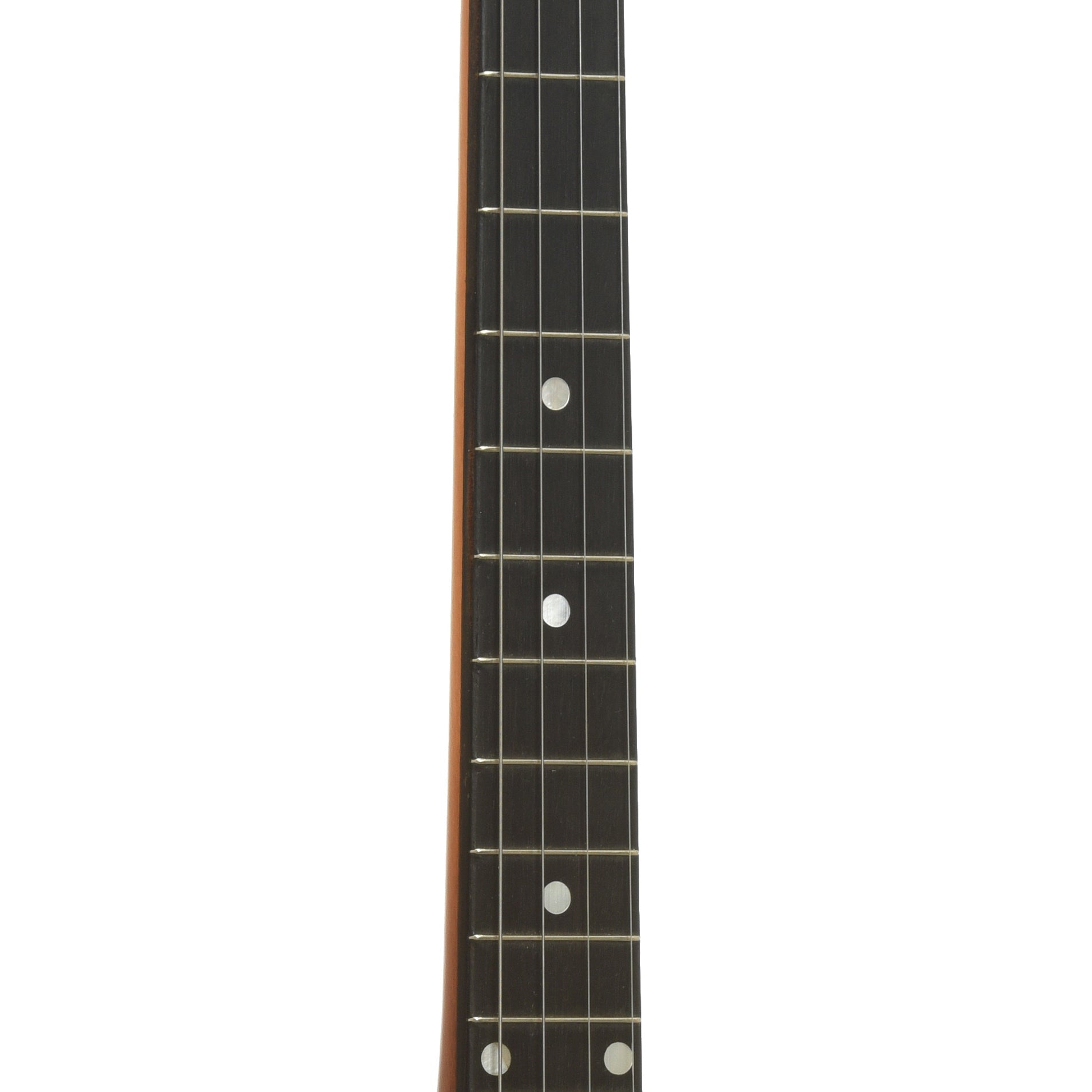 Fretboard of Gibson TB-1 Trapdoor Tenor Banjo 