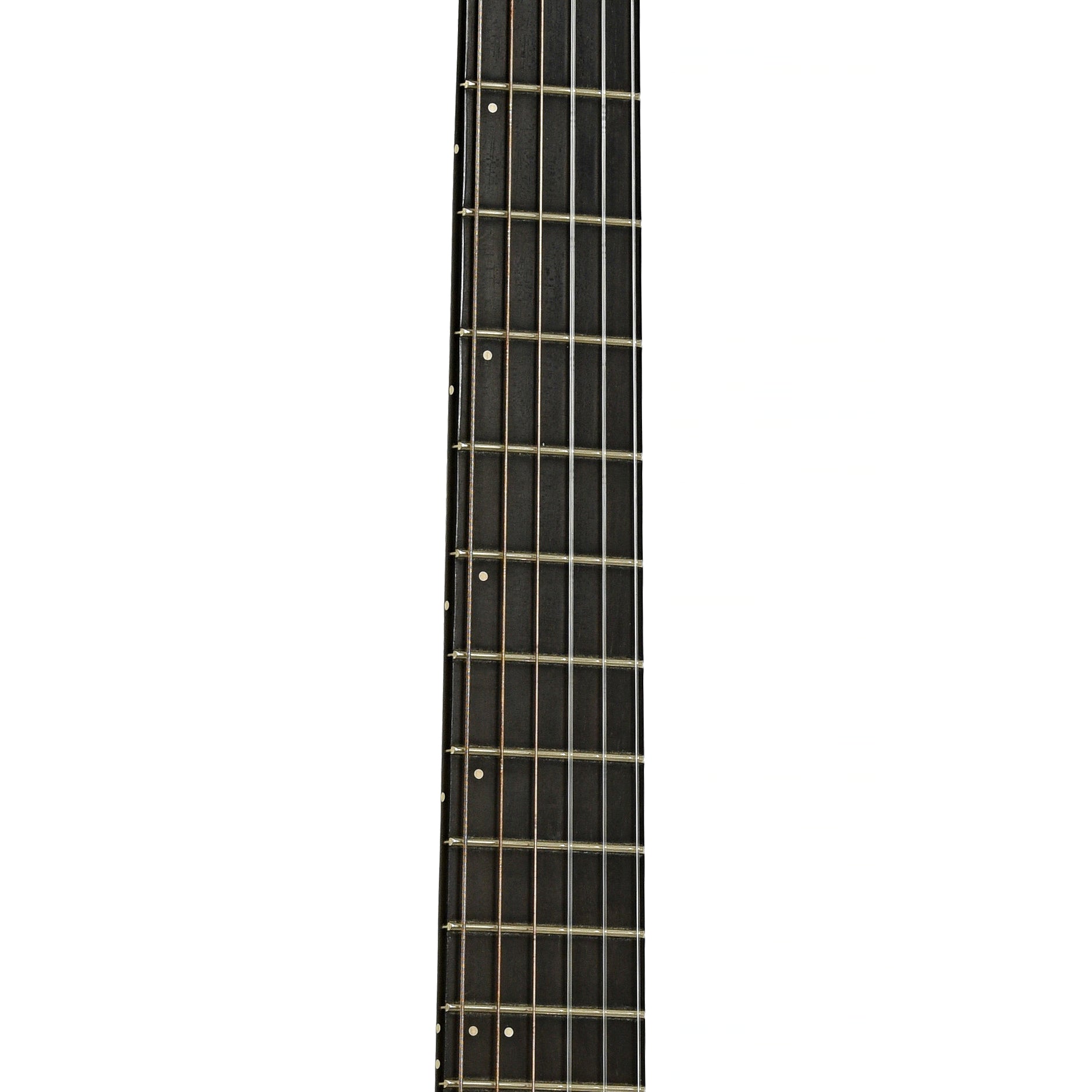 Fretboard of Godin Multiac ACS SA Nylon-String Electric Guitar
