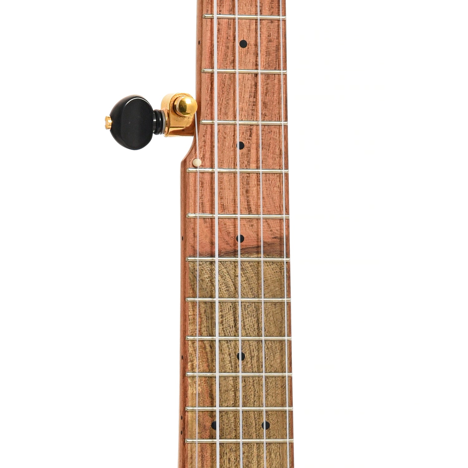 Fretboard of Aaron Keim Beansprout Mini 5-String Openback Banjo