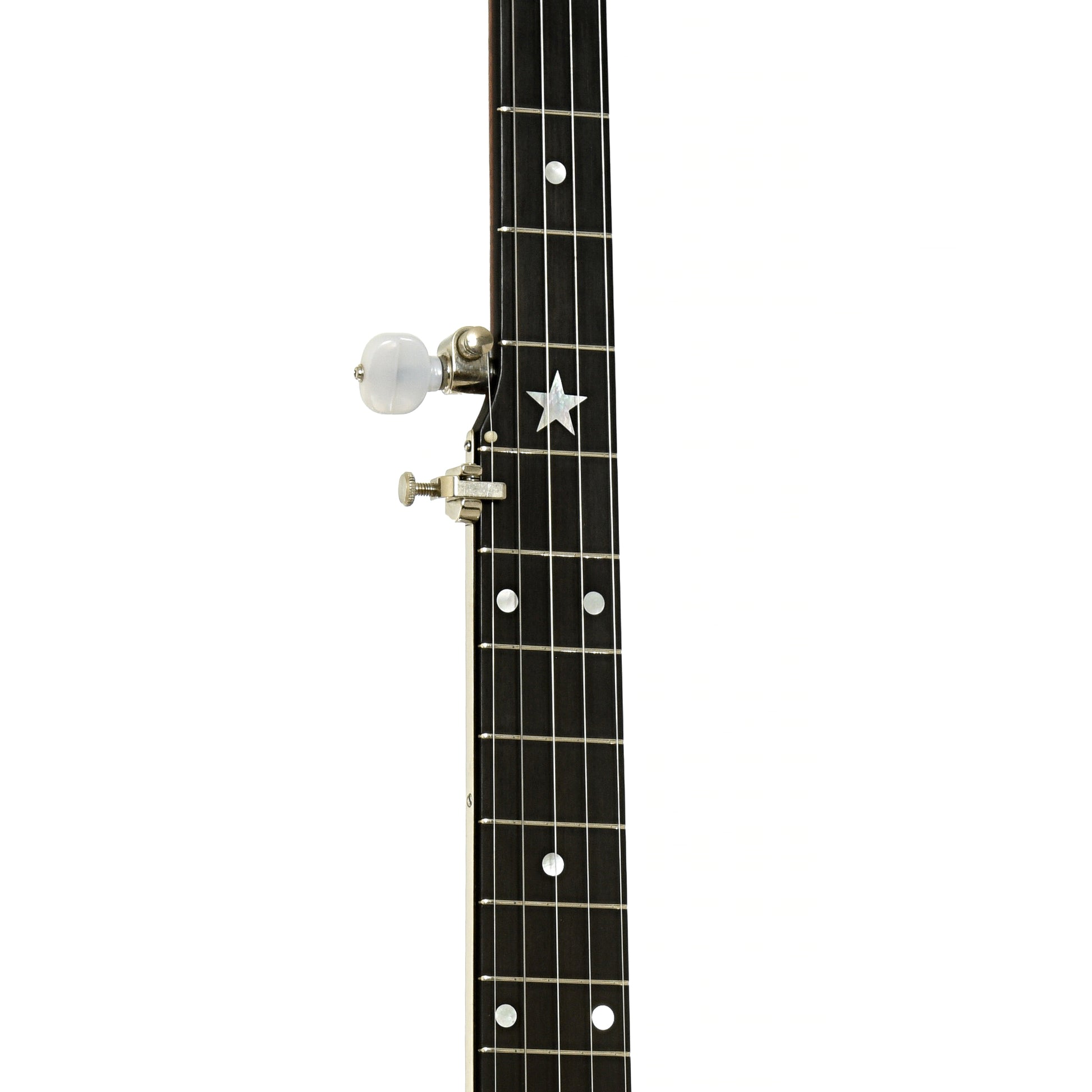 Fretboard of Bart Reiter Round Peak Open Back Banjo