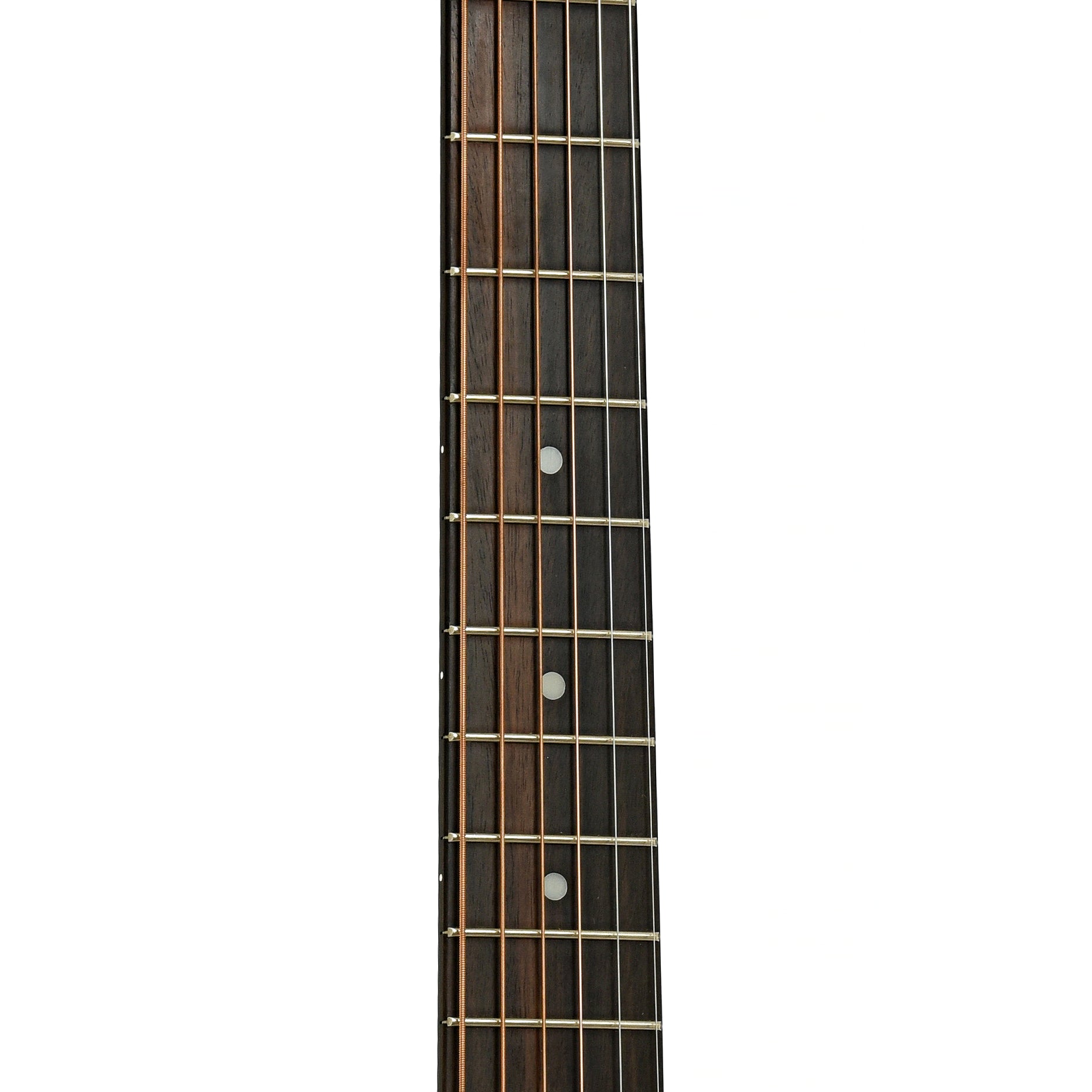 Fretboard of Taylor Baby 305 Acoustic Guitar