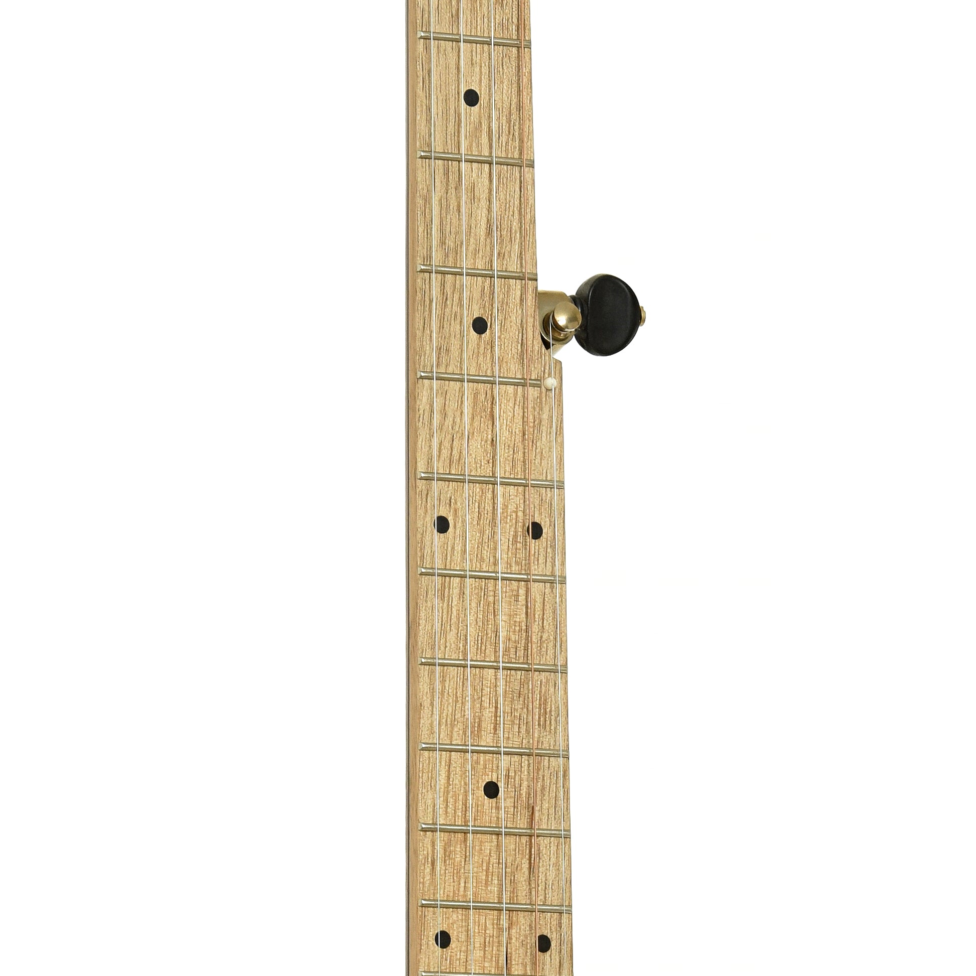Fretboard of Pisgah Appalachian 11" Lefthanded Openback Banjo 