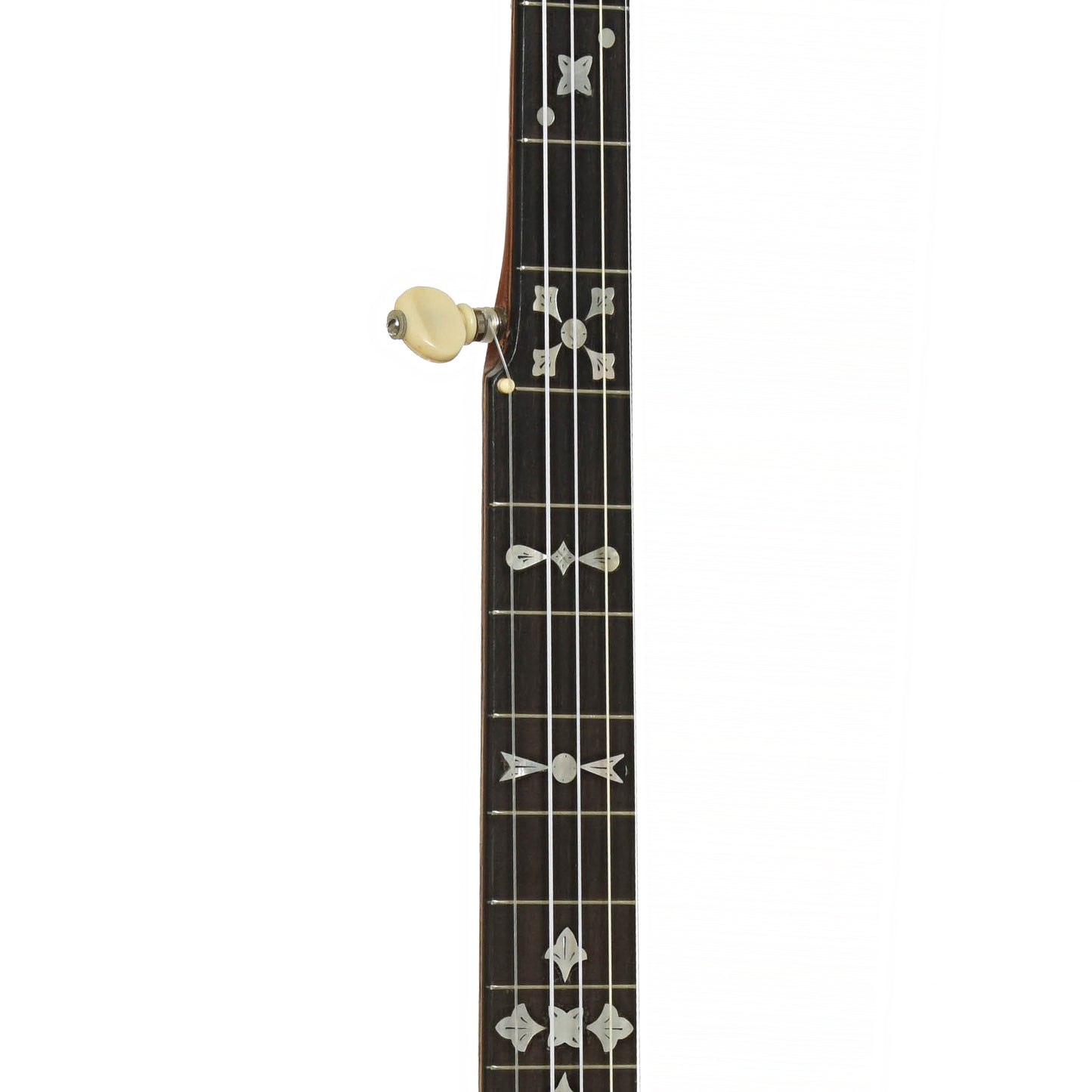 Fretboard of A.C. Fairbanks Special Electric Openback Banjo