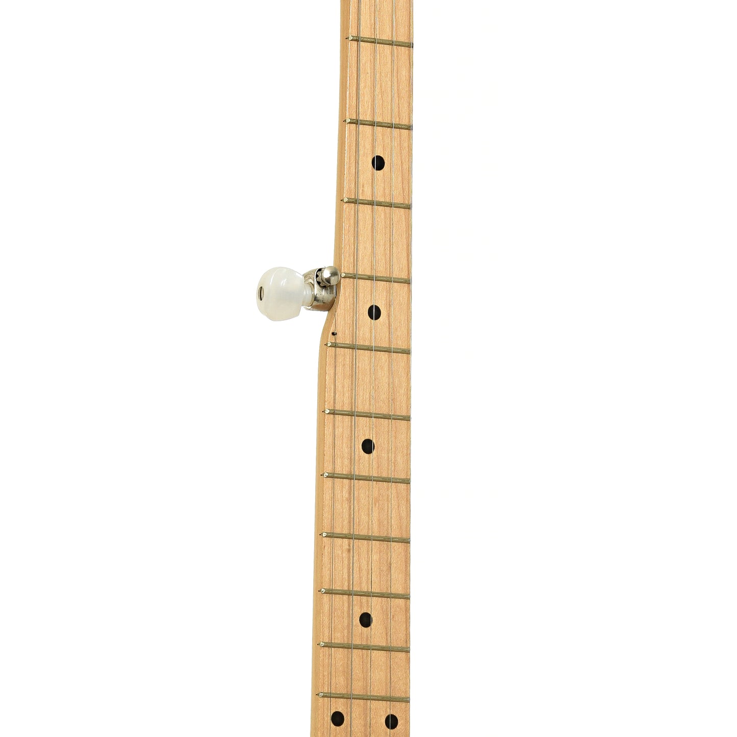 Fretboard of Deering Goodtime Open Back Banjo 