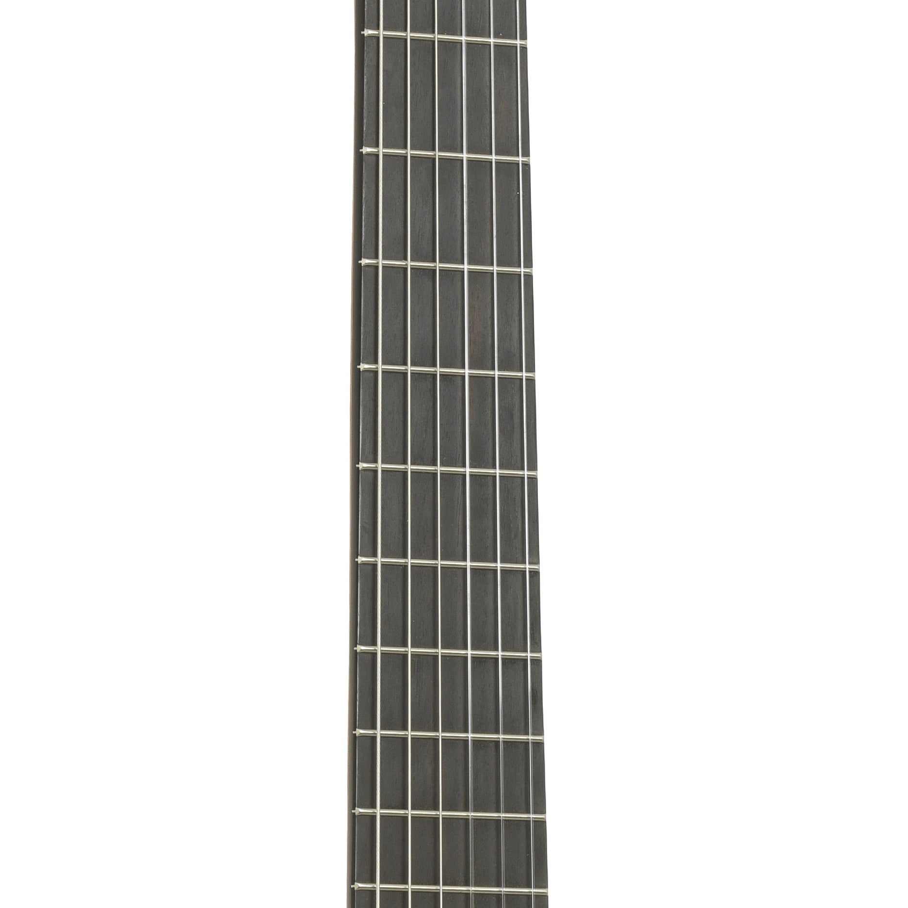 fretboard of Esteve 7SR Classical Acoustic Guitar
