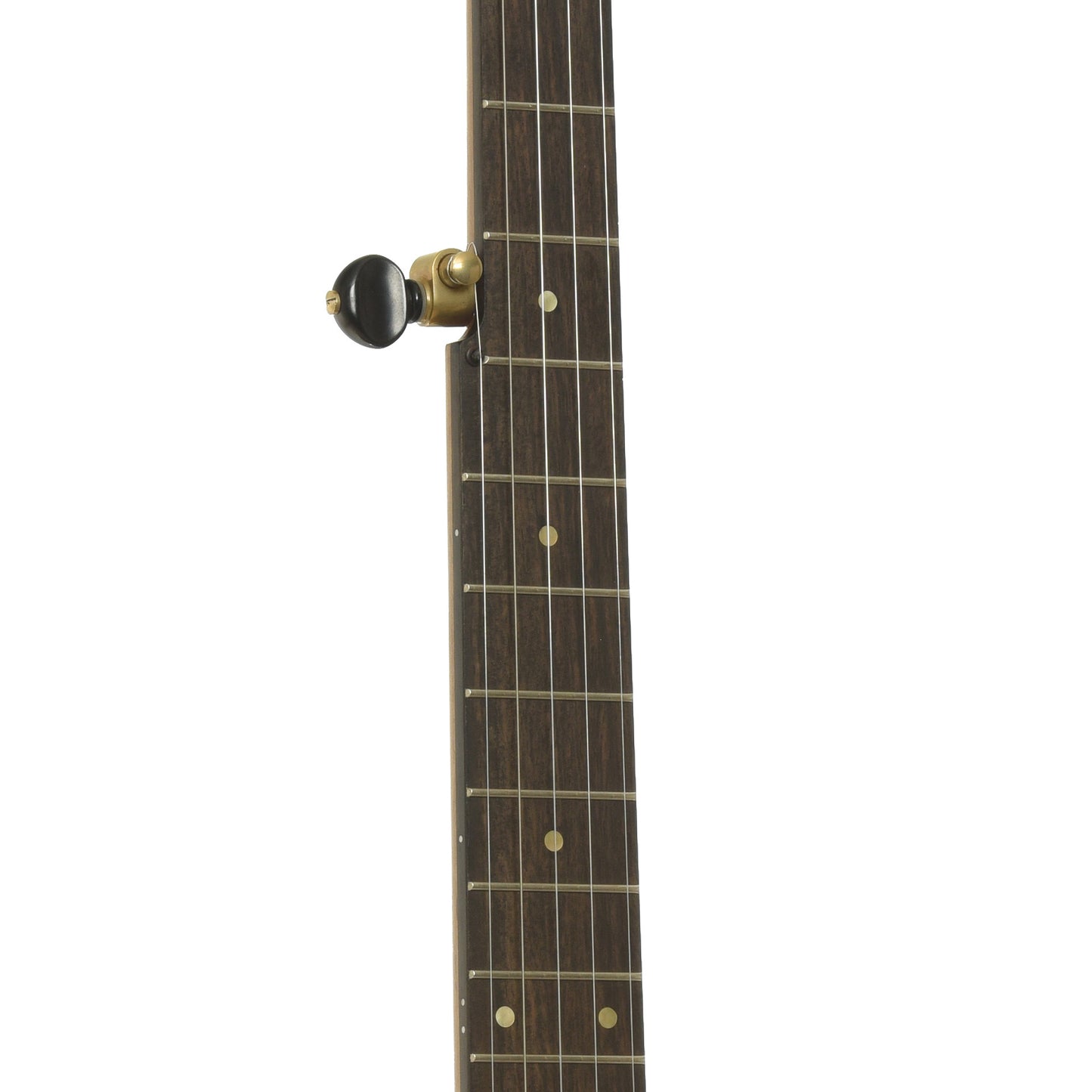 Fretboard of Ozark Banjo Co. Maple Whyte Laydie 12" Openback Banjo