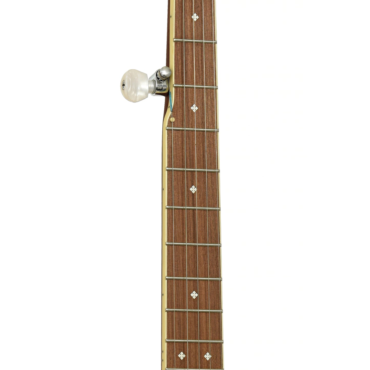 Fretboard of Fender Paramount PB-180E Open Back Banjo