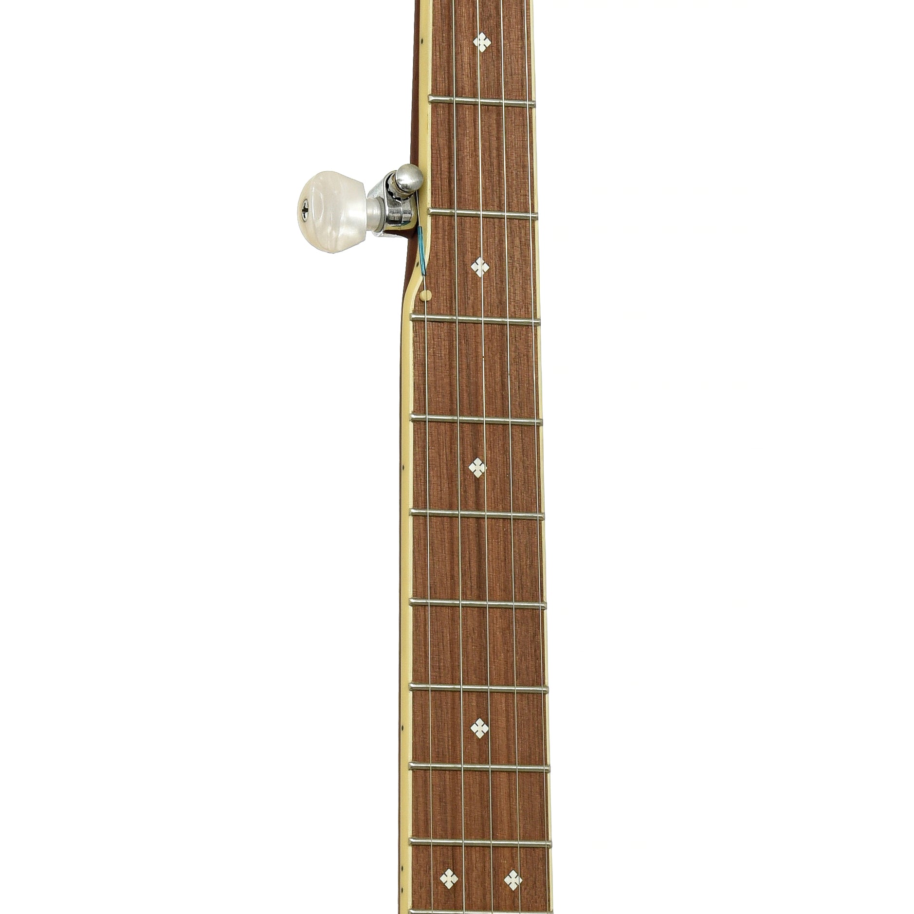 Fretboard of Fender Paramount PB-180E Open Back Banjo