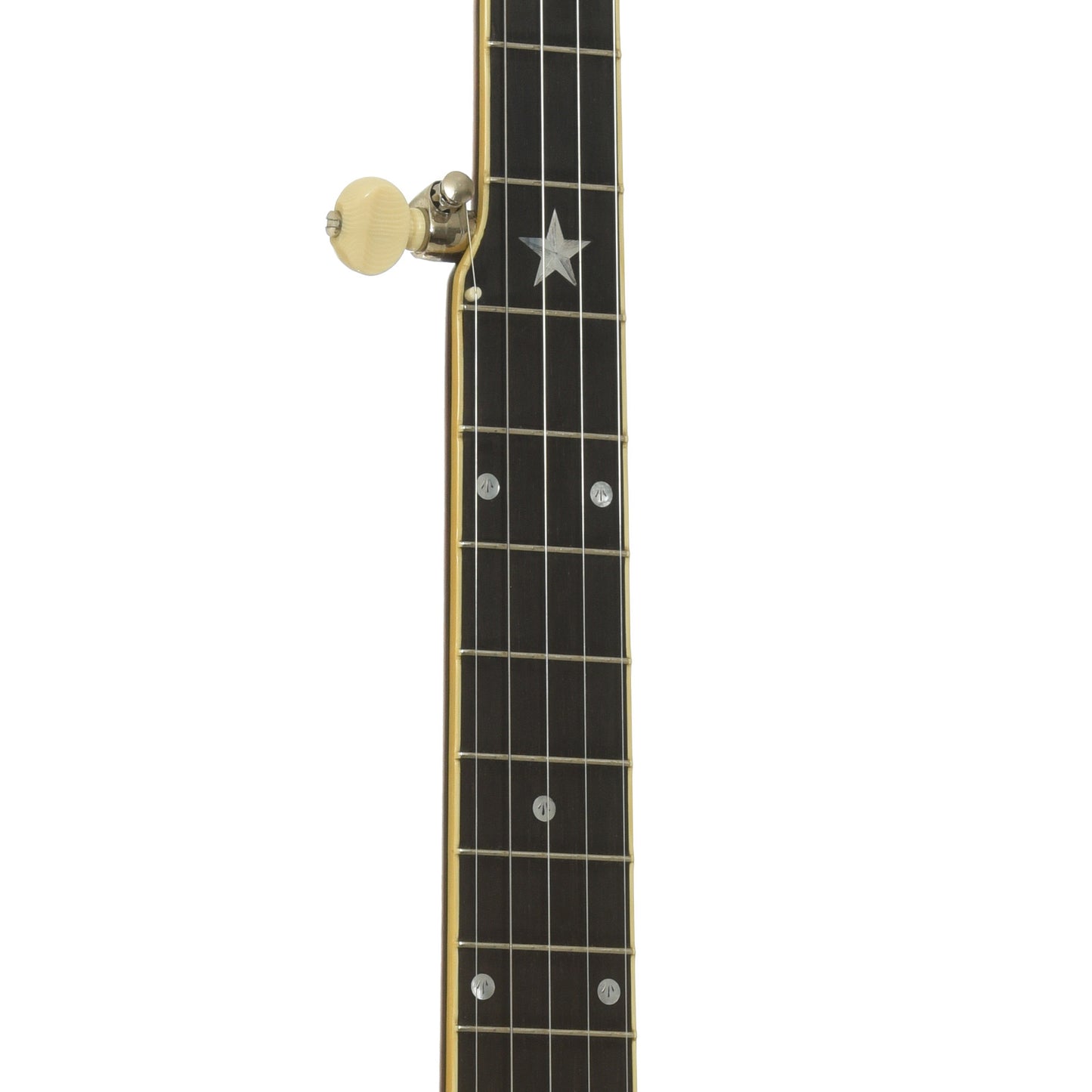 Fretboard of Mike Ramsey Tubaphone No.3 Open Back Banjo