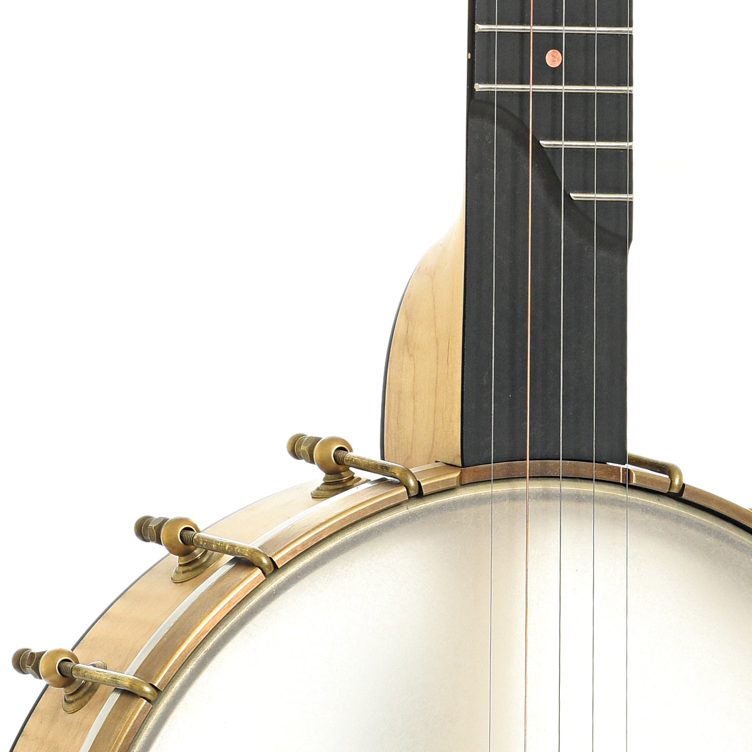 Scoop of Pisgah Banjo Co. 11" Laydie Openback Banjo