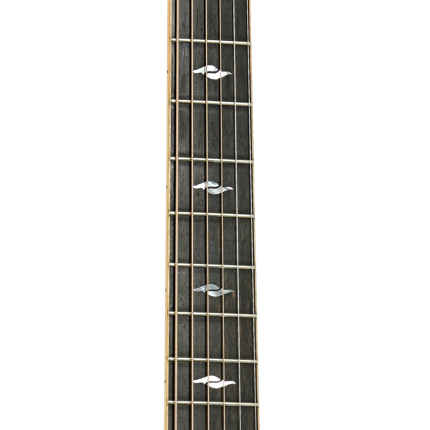 Fretboard of Taylor 818e Grand Orchestra Acoustic-Electric Guitar