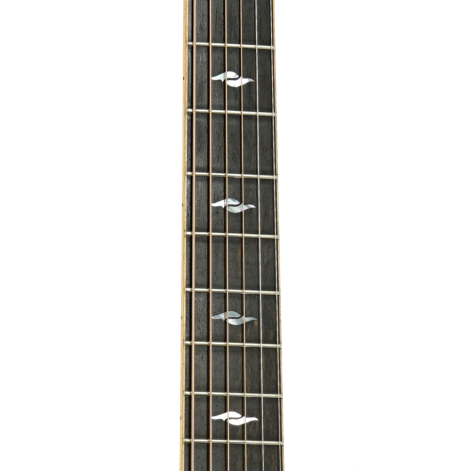 Fretboard of Taylor 818e Grand Orchestra Acoustic-Electric Guitar