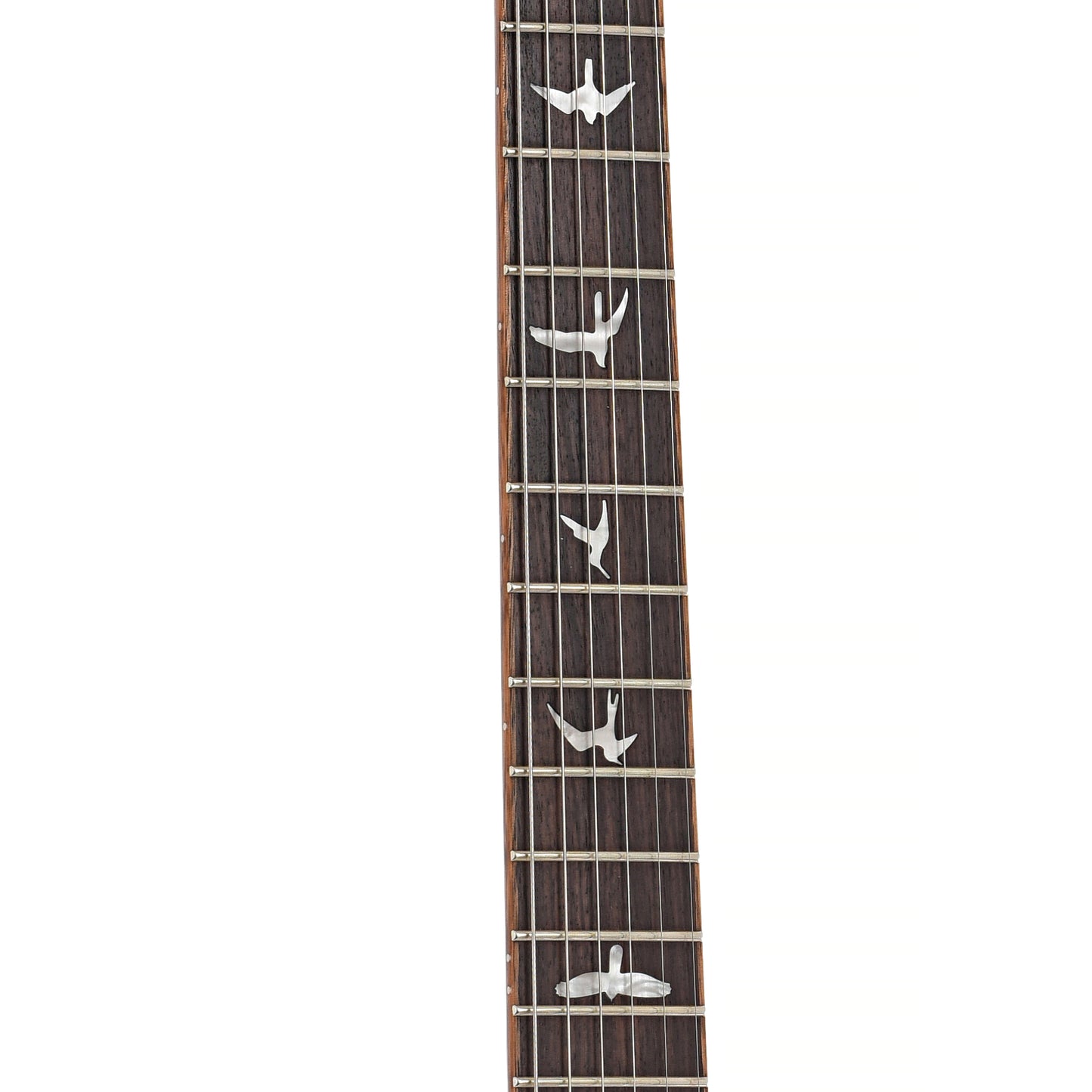 Fretboard of PRS SE Limited Edition Custom 24 Electric Guitar, Blue Fade