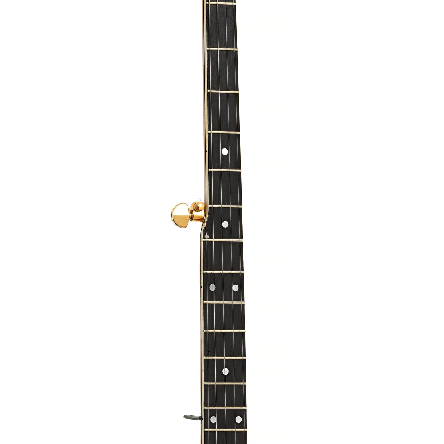 Fretboard of Vega Pete Seeger Extra Long Neck Banjo