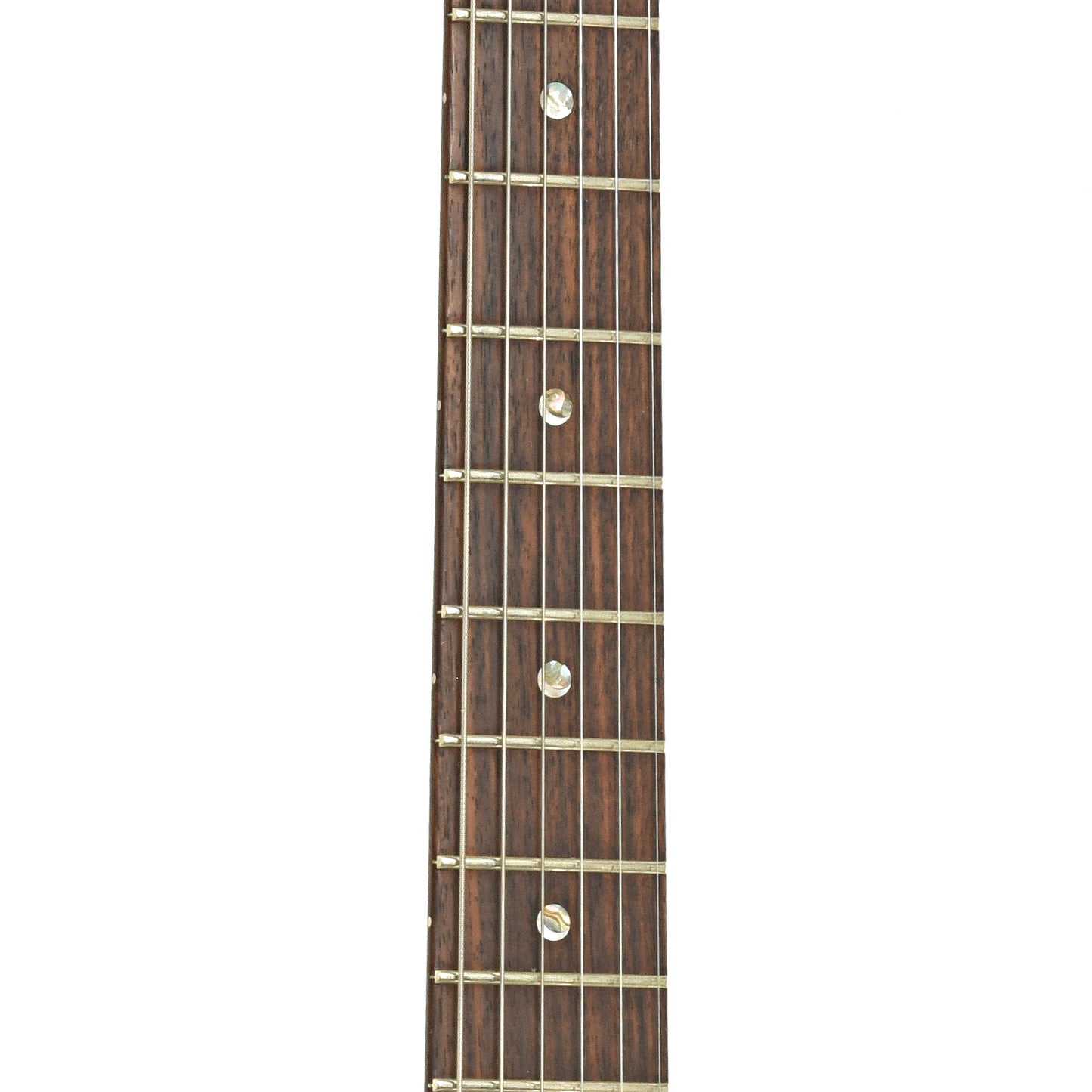 Fretboard of PRS McCarty Electric Guitar