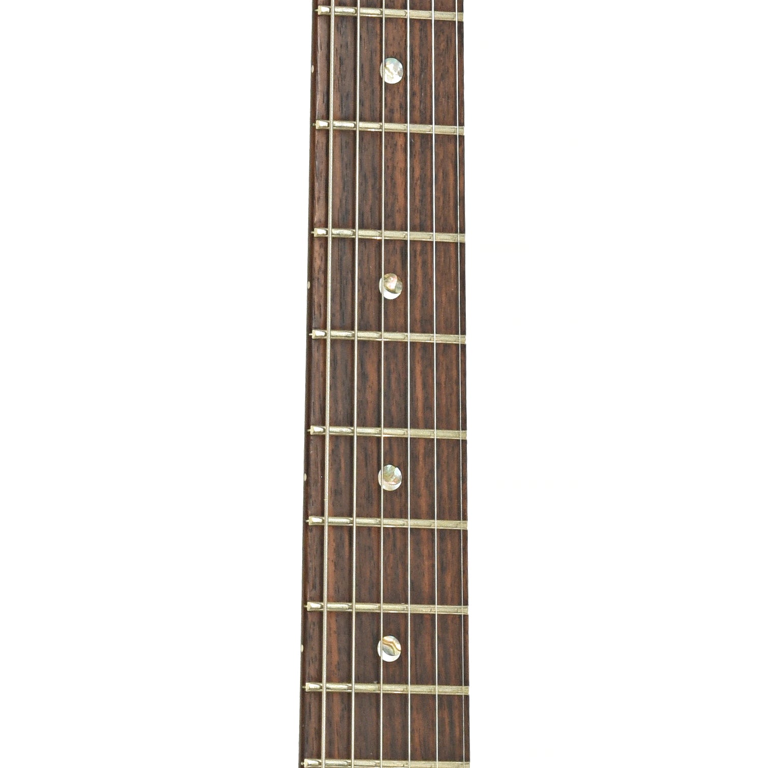 Fretboard of PRS McCarty Electric Guitar