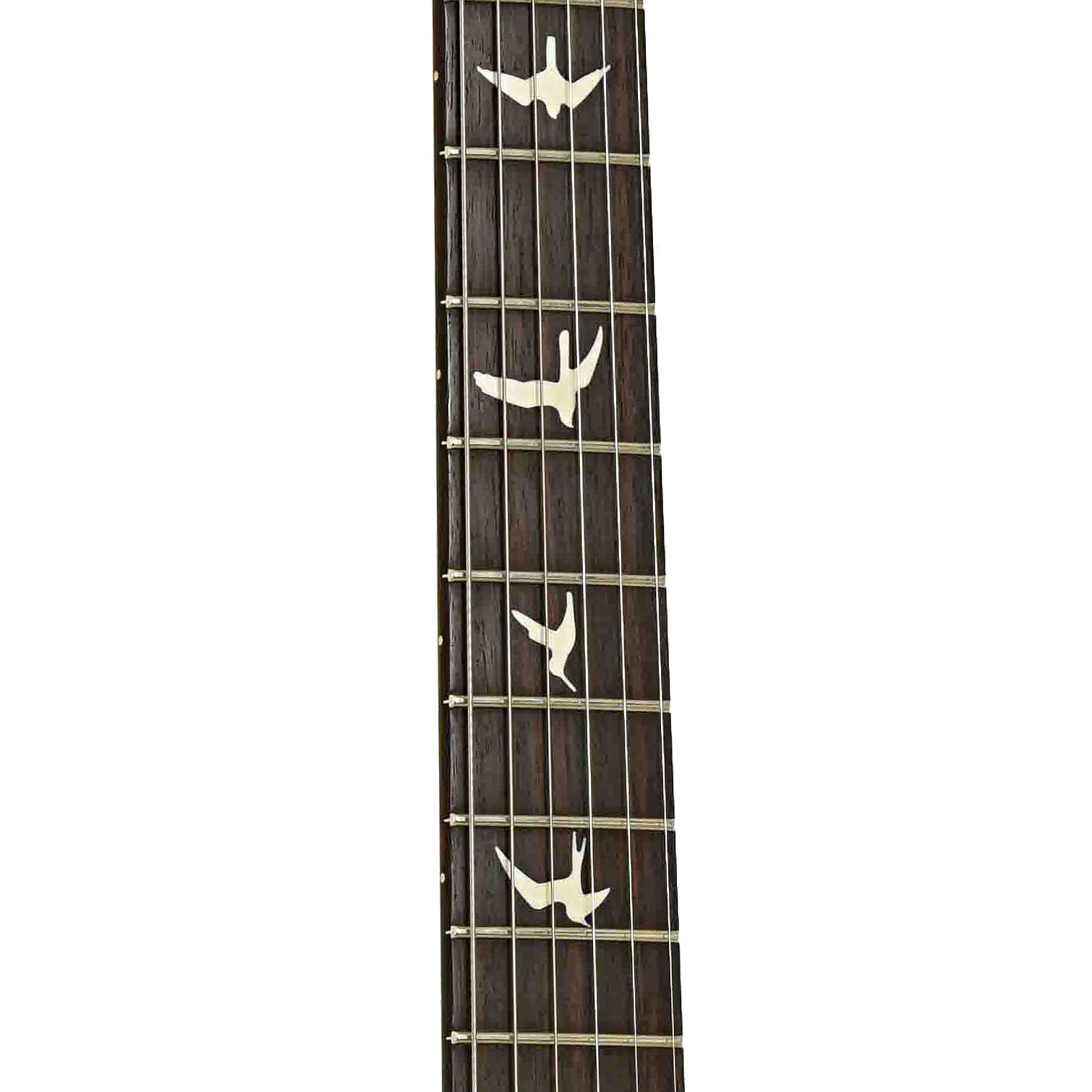 Fretboard of PRS CE24-08 Electric Guitar