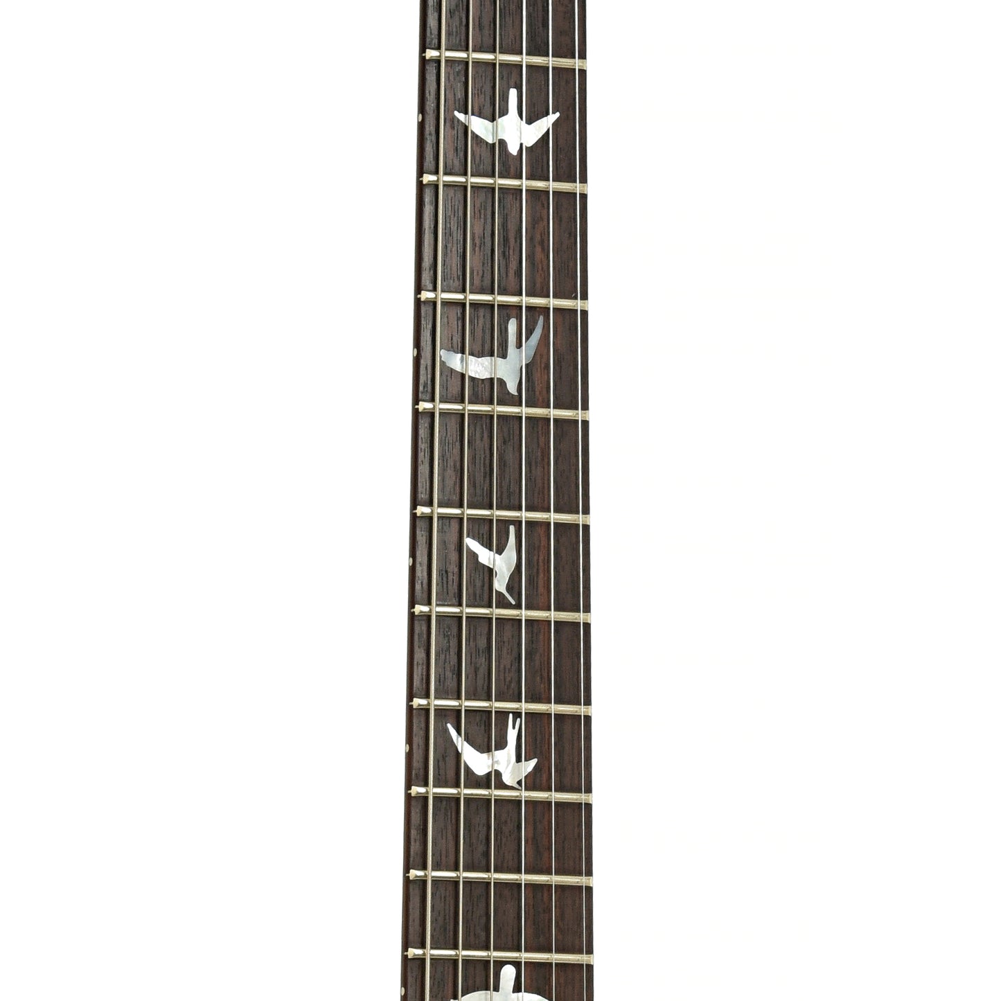 Fretboard of PRS Custom 24 10 Top Electric Guitar