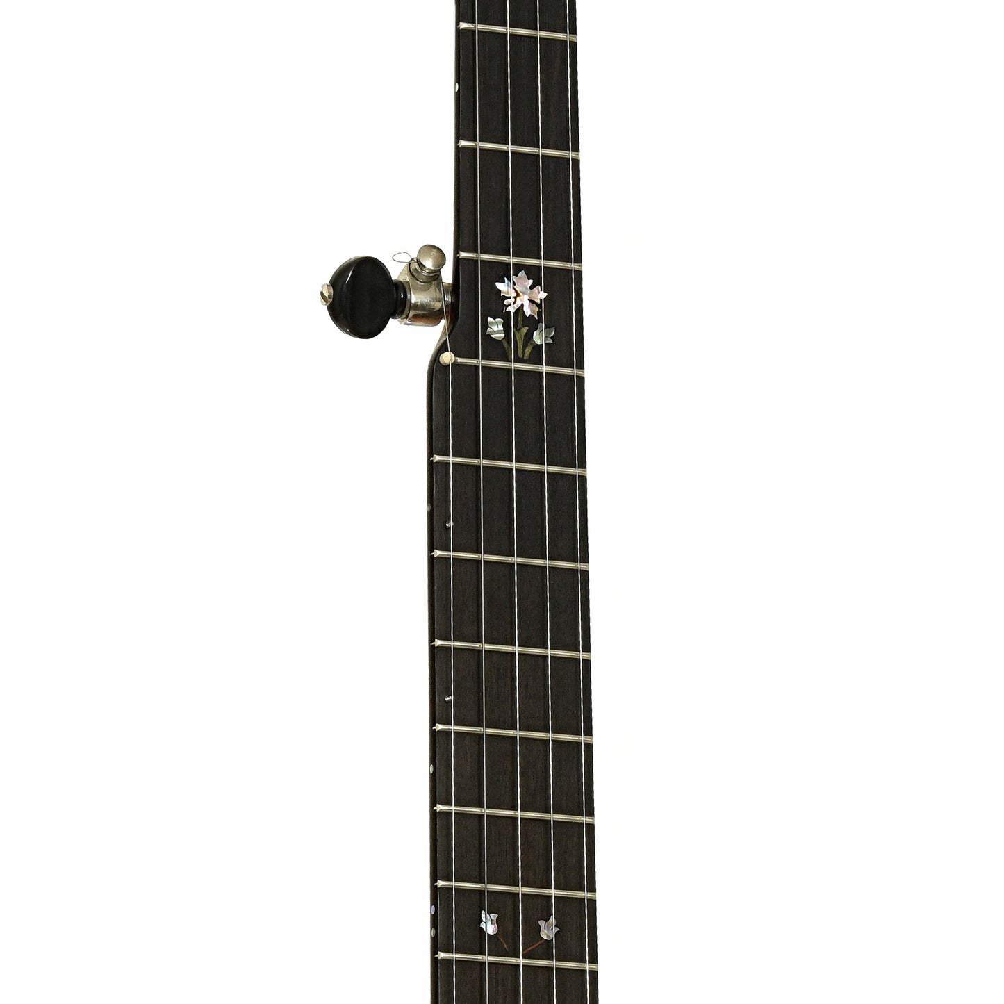 Fretboard of Chuck Lee Prairieville Custom Open Back Banjo 