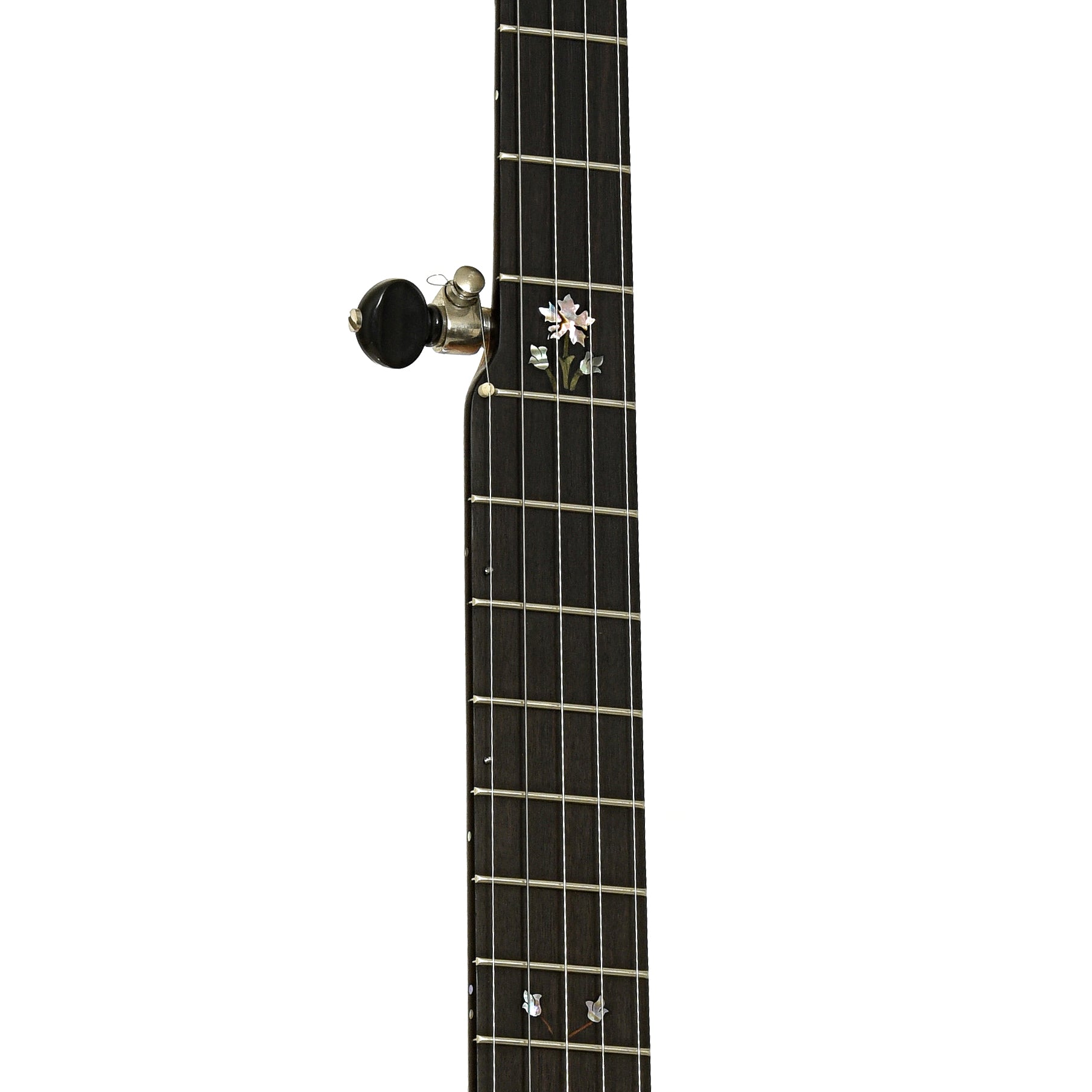 Fretboard of Chuck Lee Prairieville Custom Open Back Banjo 