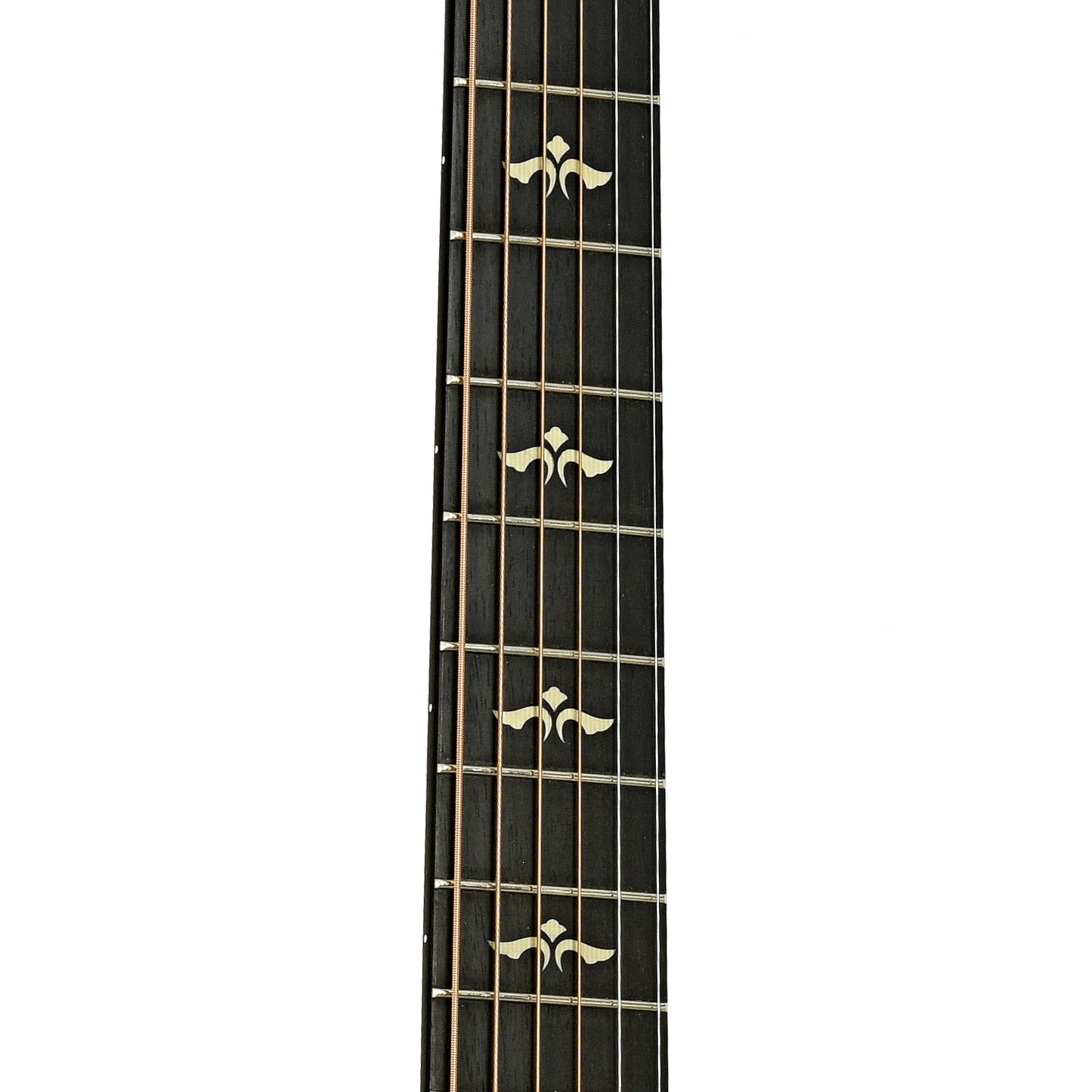 Fretboard of Taylor 612ce Acoustic-Electric Guitar