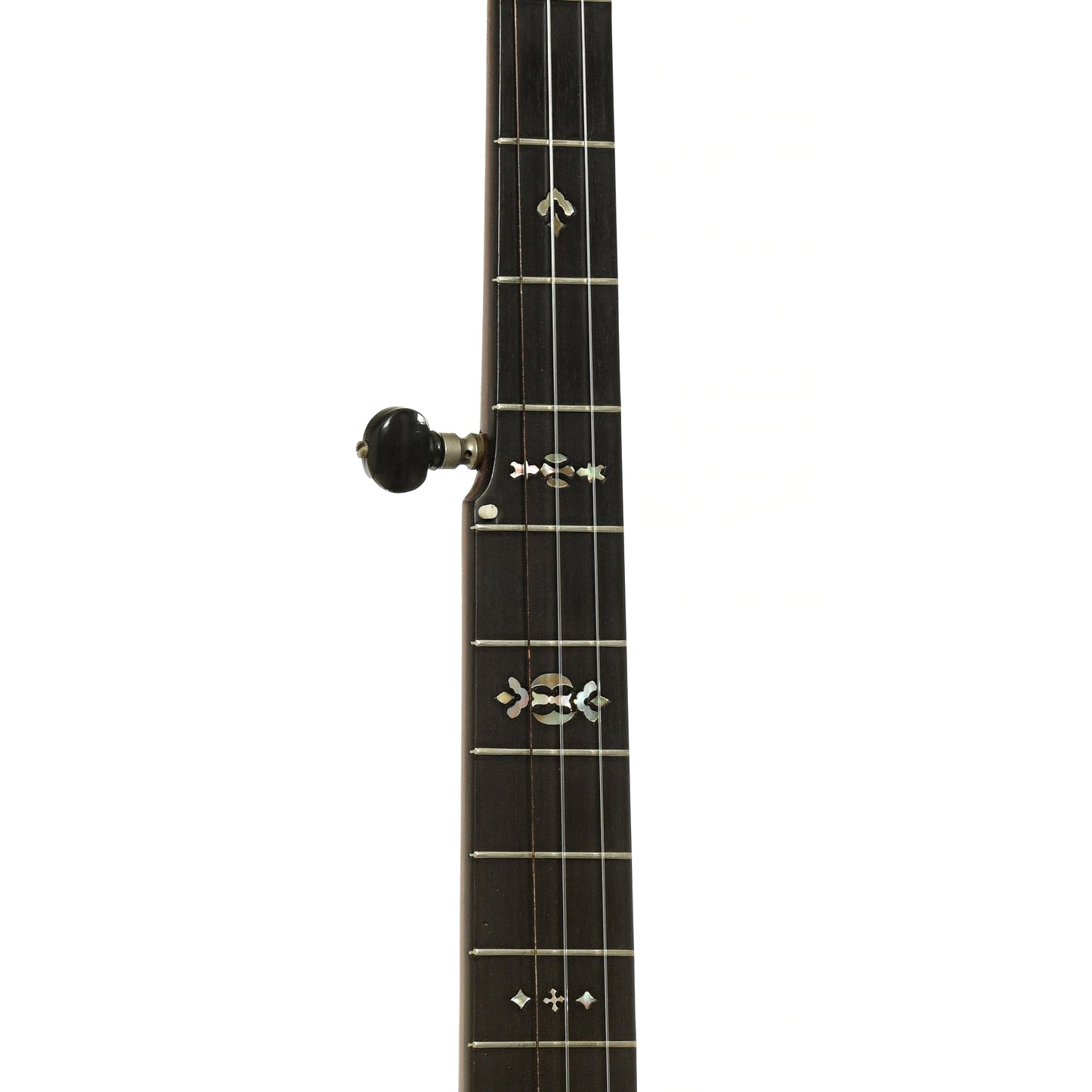 Fretboard of L.B. Gatcomb The Monarch Open Back Banjo