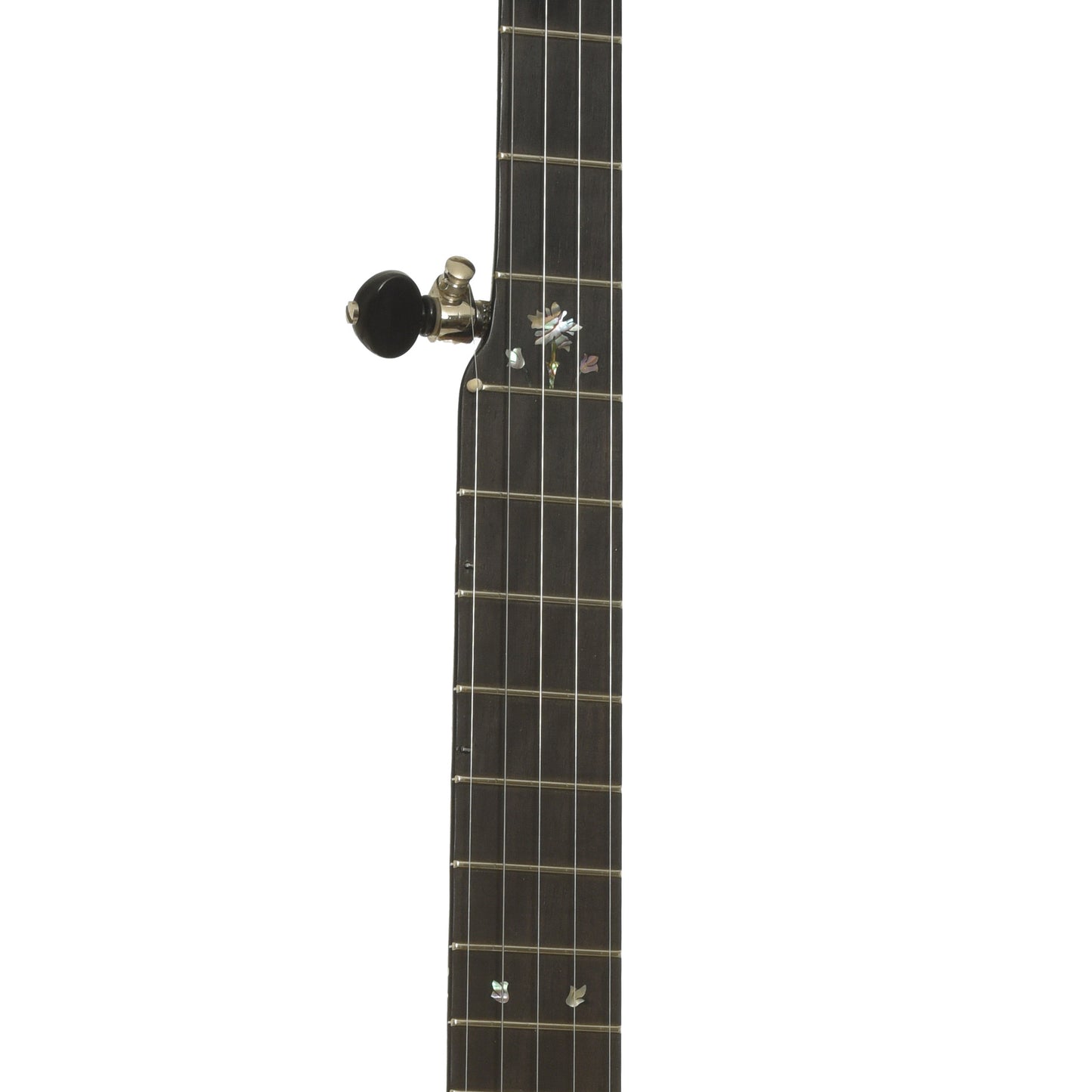 Fretboard of Chuck Lee Prairieville 12" Open Back Banjo 