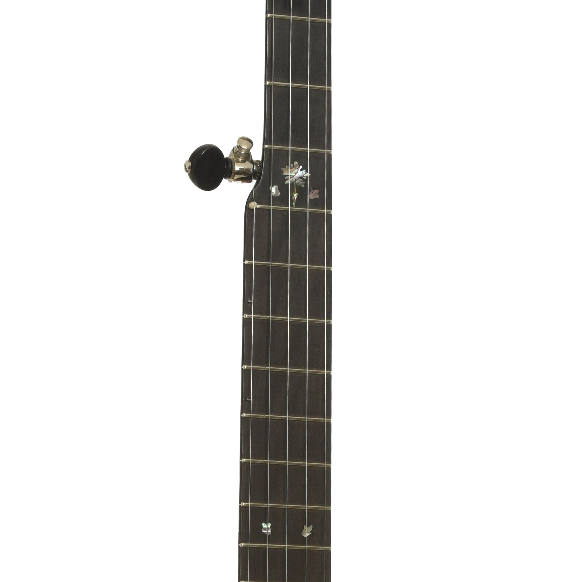 Fretboard of Chuck Lee Prairieville 12" Open Back Banjo 