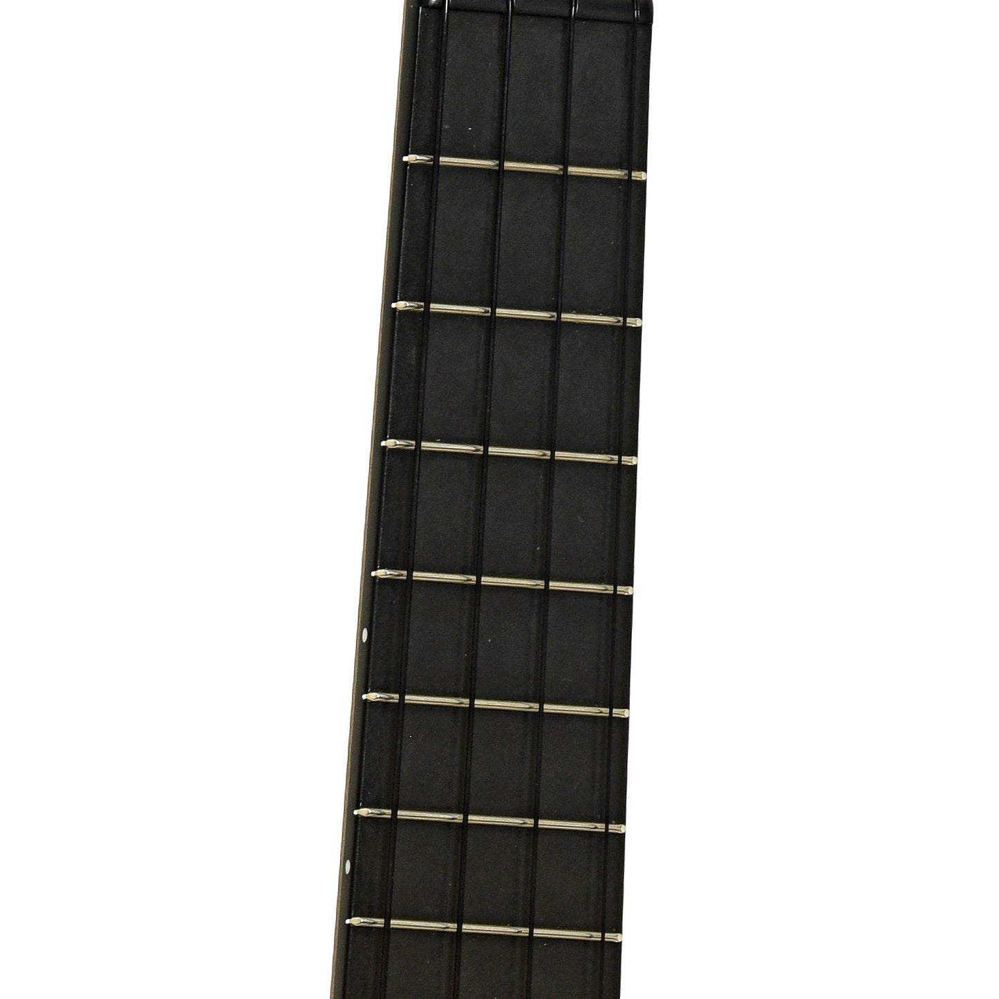 Fretboard of Blackbird Clara Concert Ukulele 