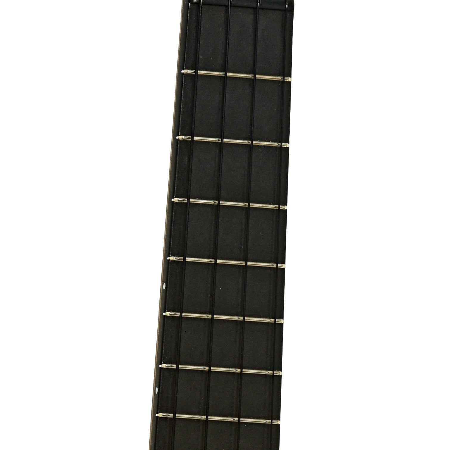 Fretboard of Blackbird Clara Concert Ukulele 
