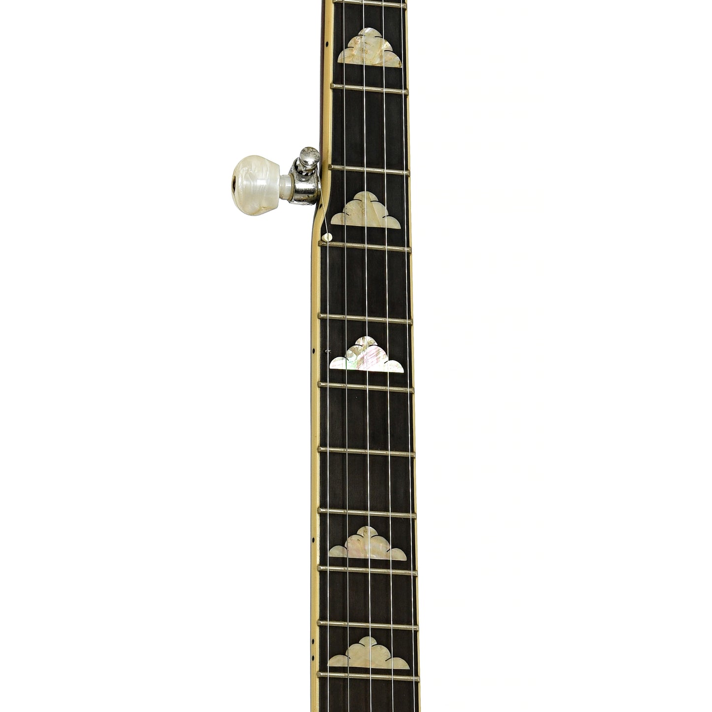 Fretboard of Gold Tone WL-250 Whyte Laydie Open Back Banjo