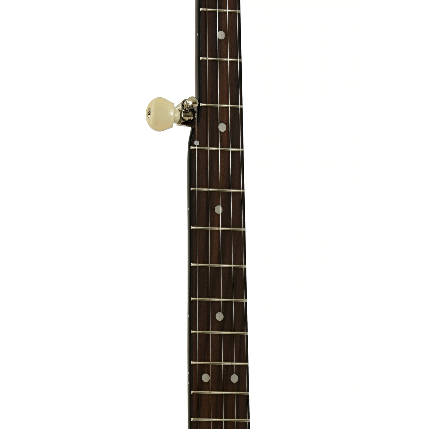 Fretboard of Recording King RKO-3S Open Back Banjo