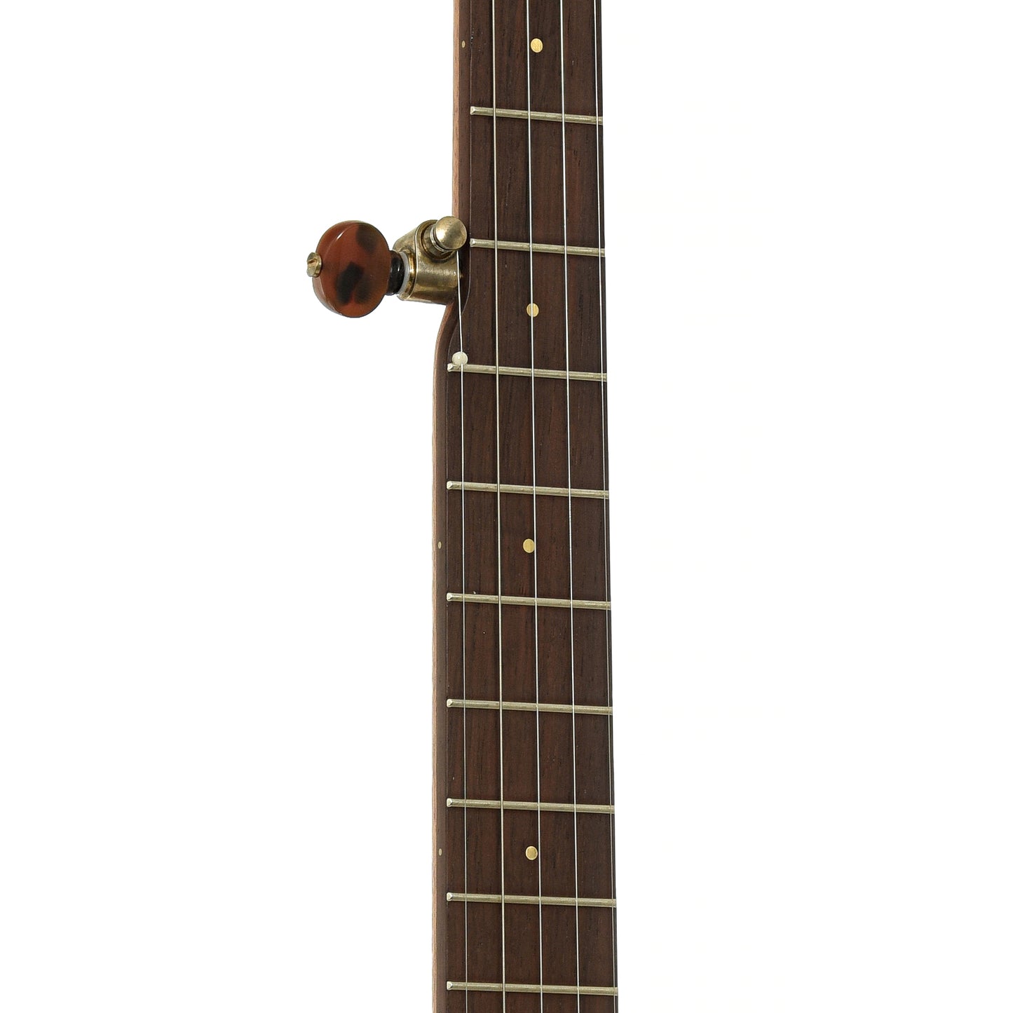 Fretboard of Ome Tupelo 11in Openback Banjo, Mahogany Neck