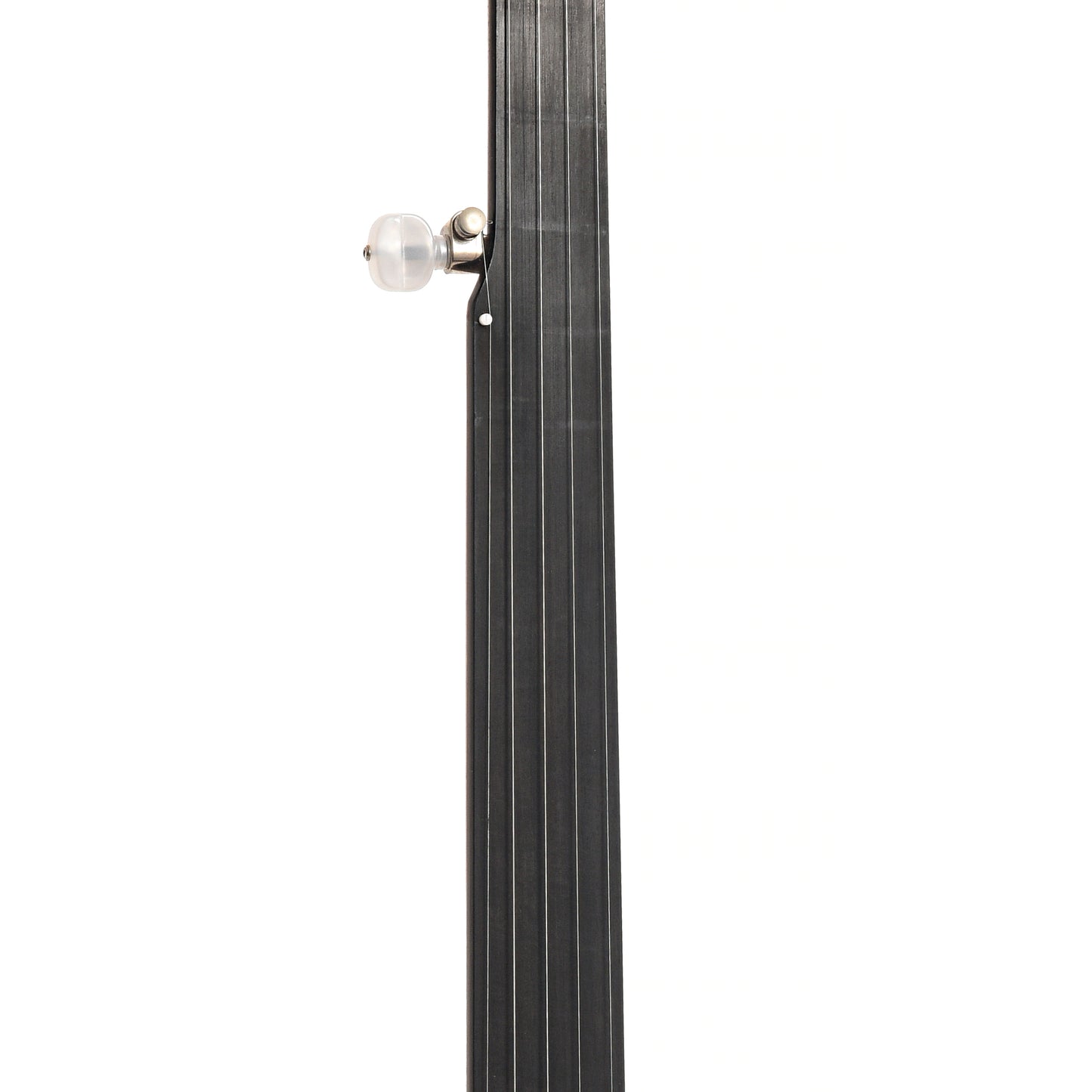 Fretboard of Bart Reiter Standard Fretless Open Back Banjo