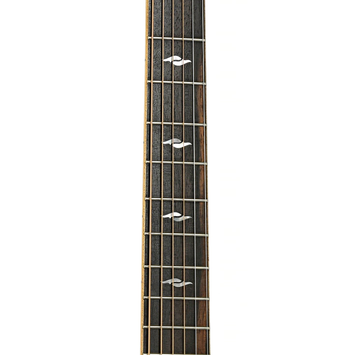 Fretboard of Taylor 814ce Acoustic-Electric Guitar
