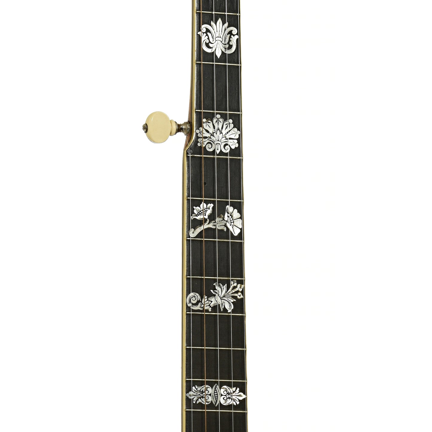 Fretboard of Fairbanks Whyte Laydie No.7 Open Back Banjo