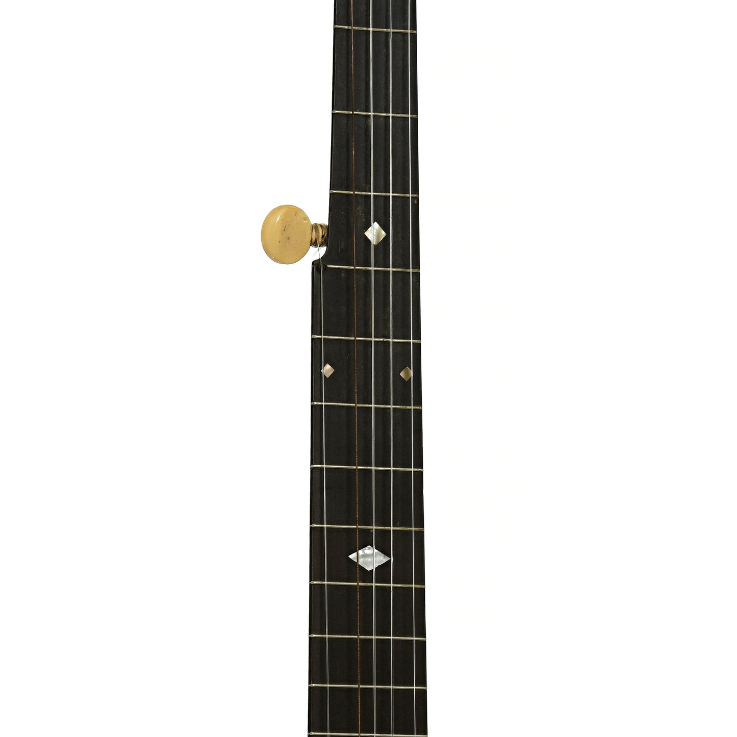Fretboard of S.S. Stewart American Princess Openback Banjo