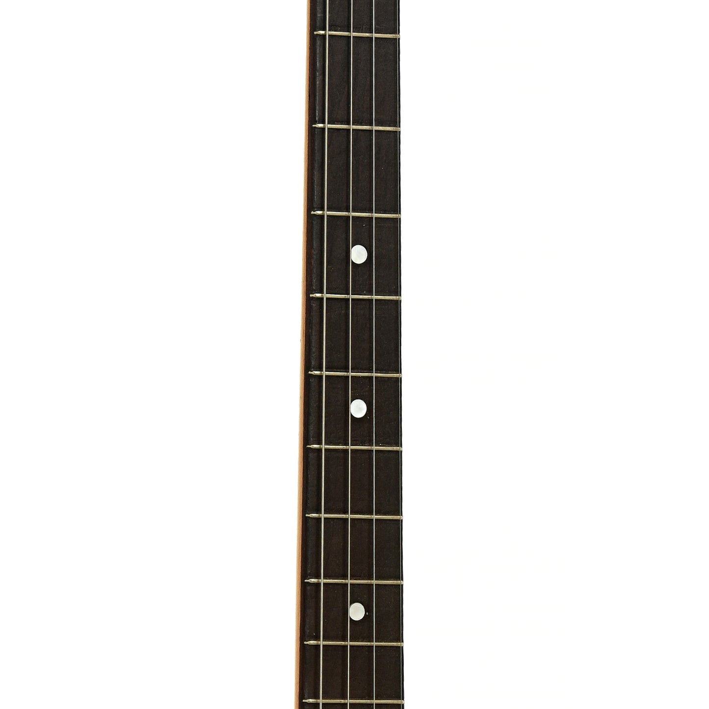 Stromberg Voisinet Tenor Banjo (1920s)
