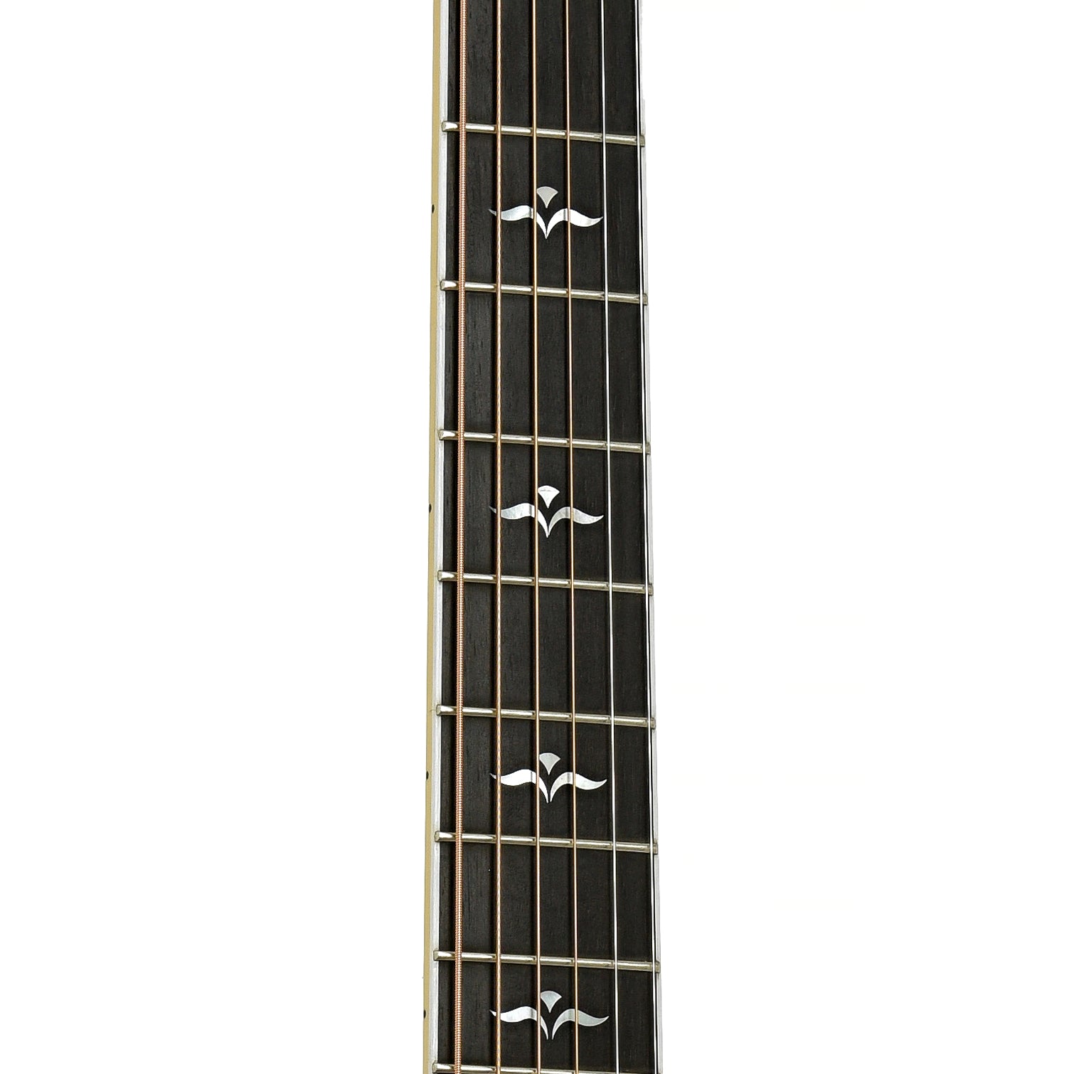 Fretboard of Taylor 612-C Acoustic Guitar