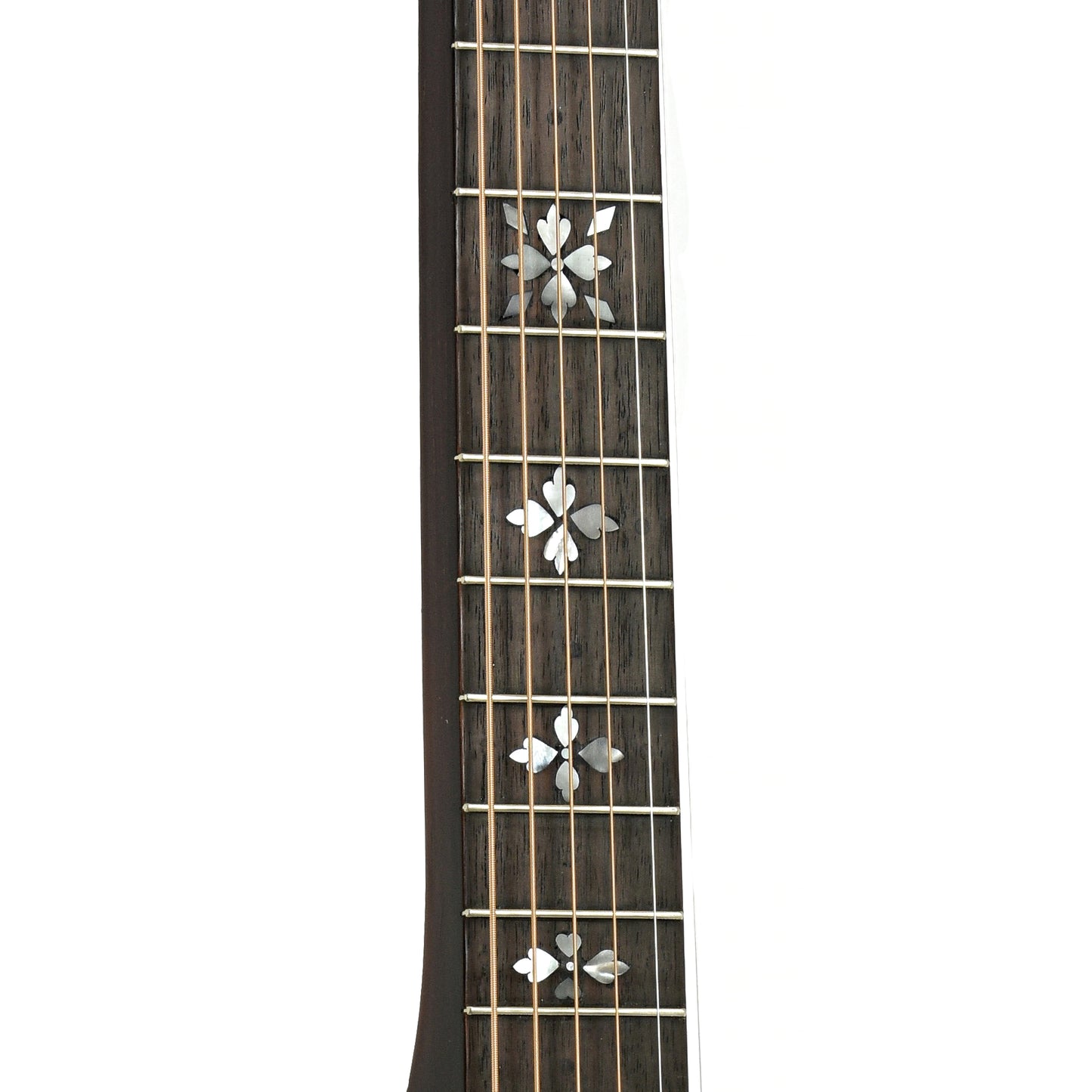 Fretboard    of Dobro 60DS Squareneck Resonator Guitar (1970)