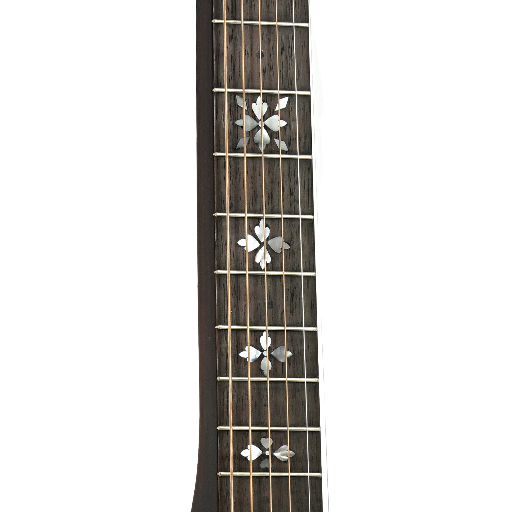 Fretboard    of Dobro 60DS Squareneck Resonator Guitar (1970)