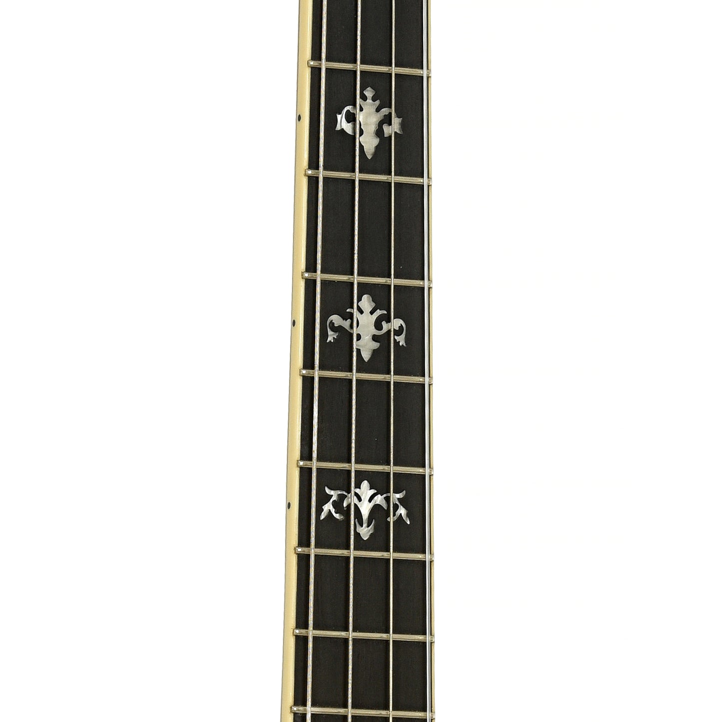 Fretboard of Gold Tone CEB-4 Cello Banjo