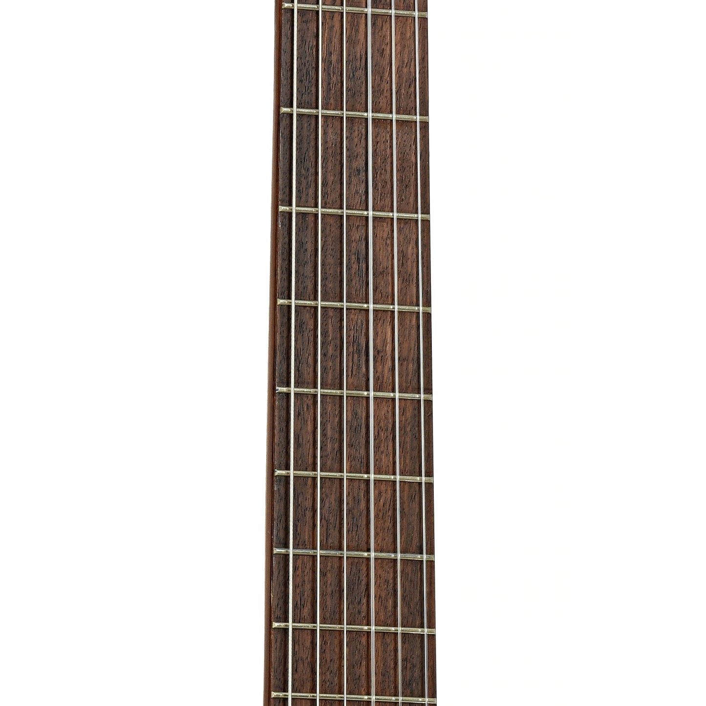 Fretboard of Takamine C134S Classical Guitar 