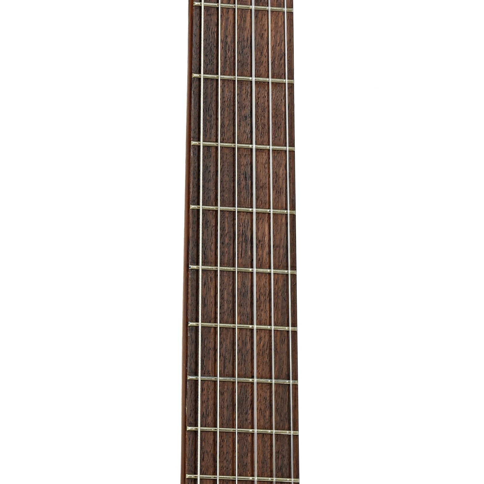 Fretboard of Takamine C134S Classical Guitar 