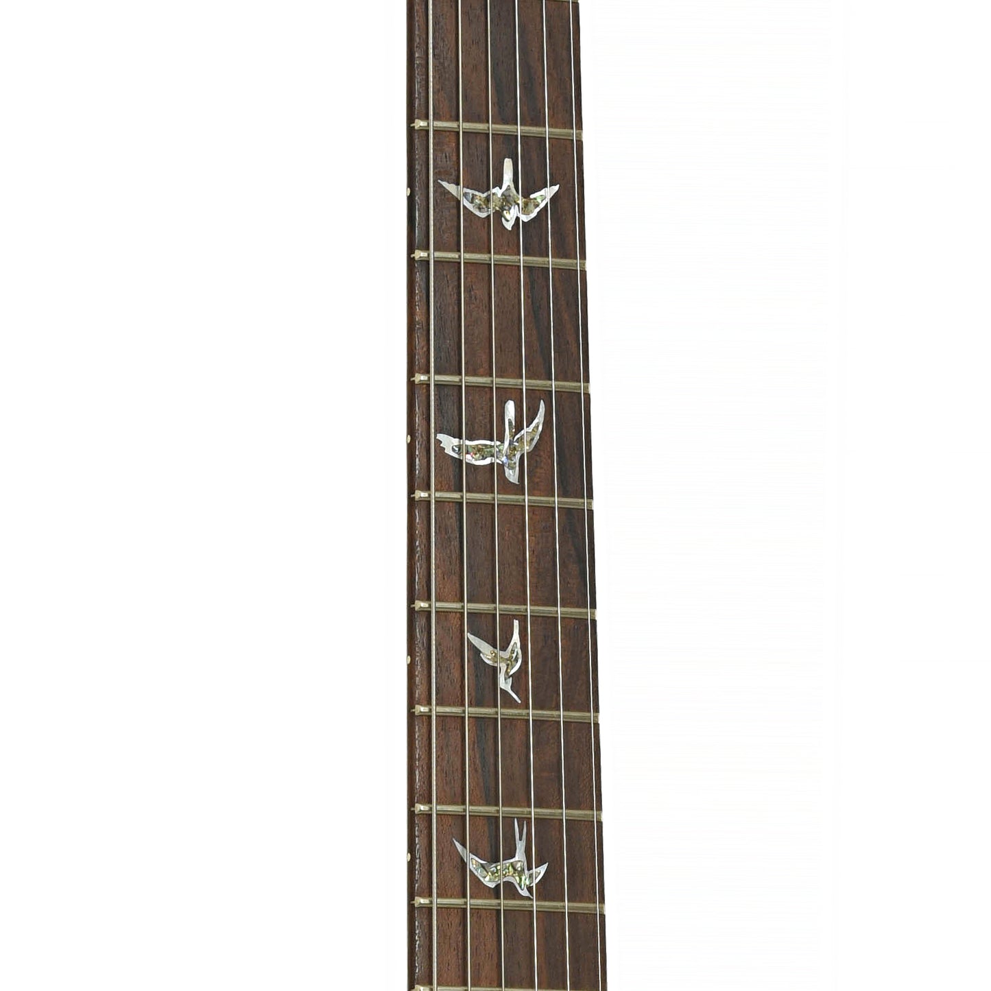 Fretboard of PRS Custom 24 Quilted Maple 10-Top Fatback