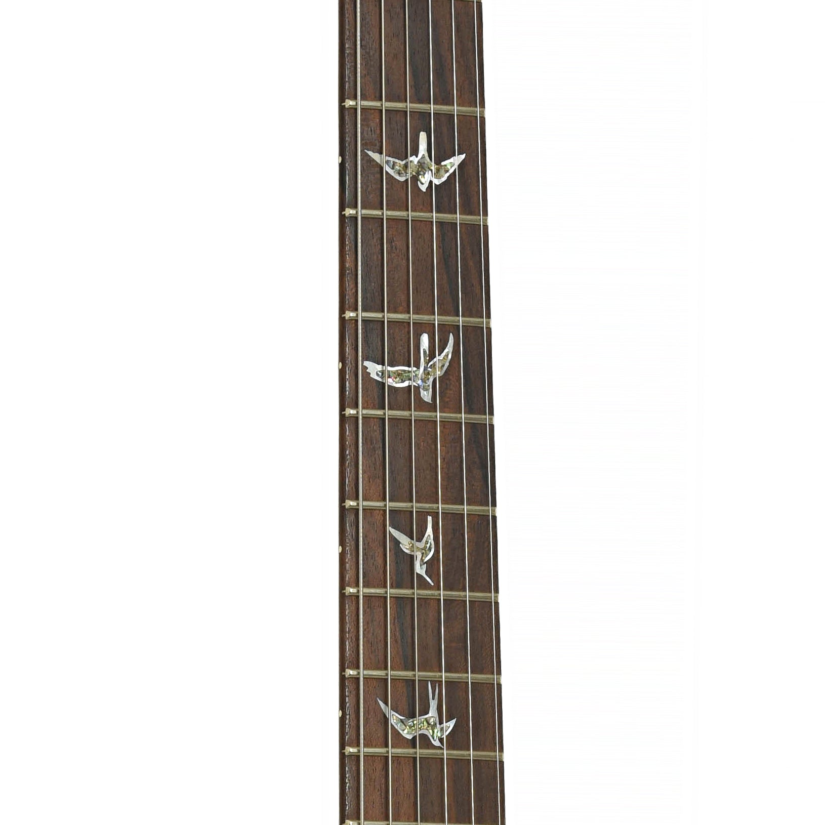 Fretboard of PRS Custom 24 Quilted Maple 10-Top Fatback