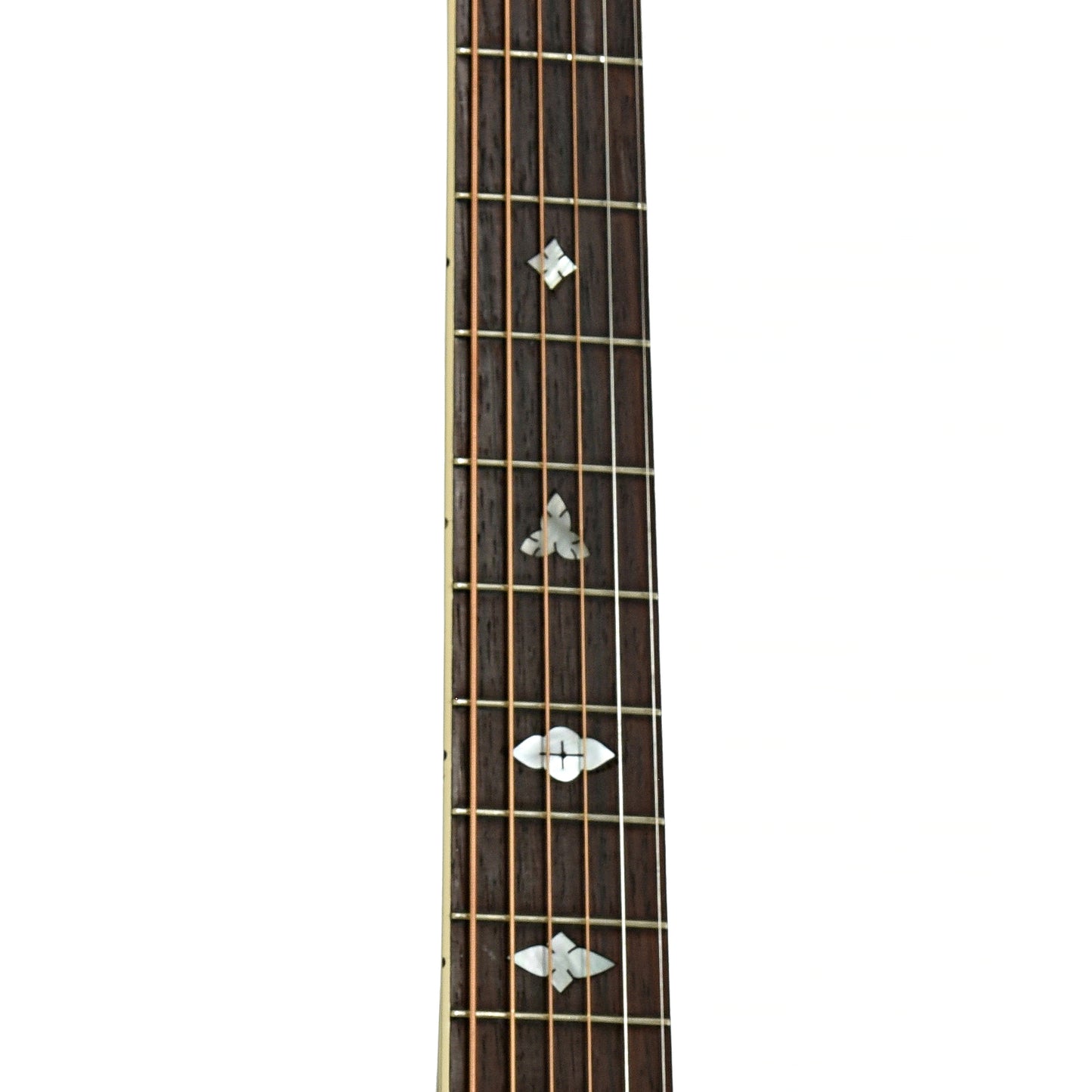 Fretboard of GIBSON NICK LUCAS SPECIAL