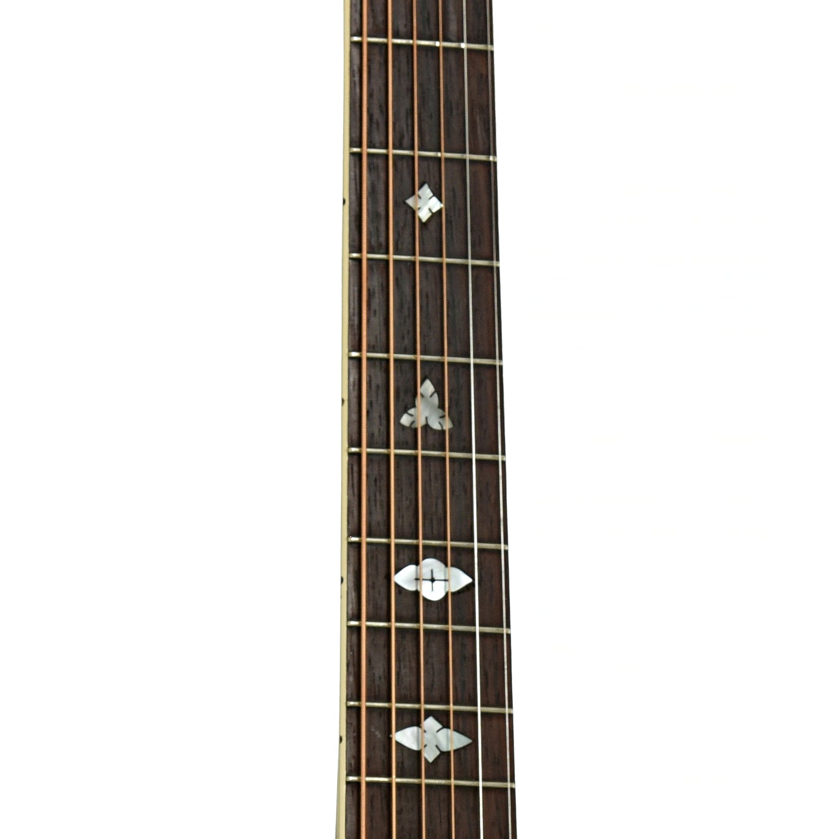 Fretboard of GIBSON NICK LUCAS SPECIAL