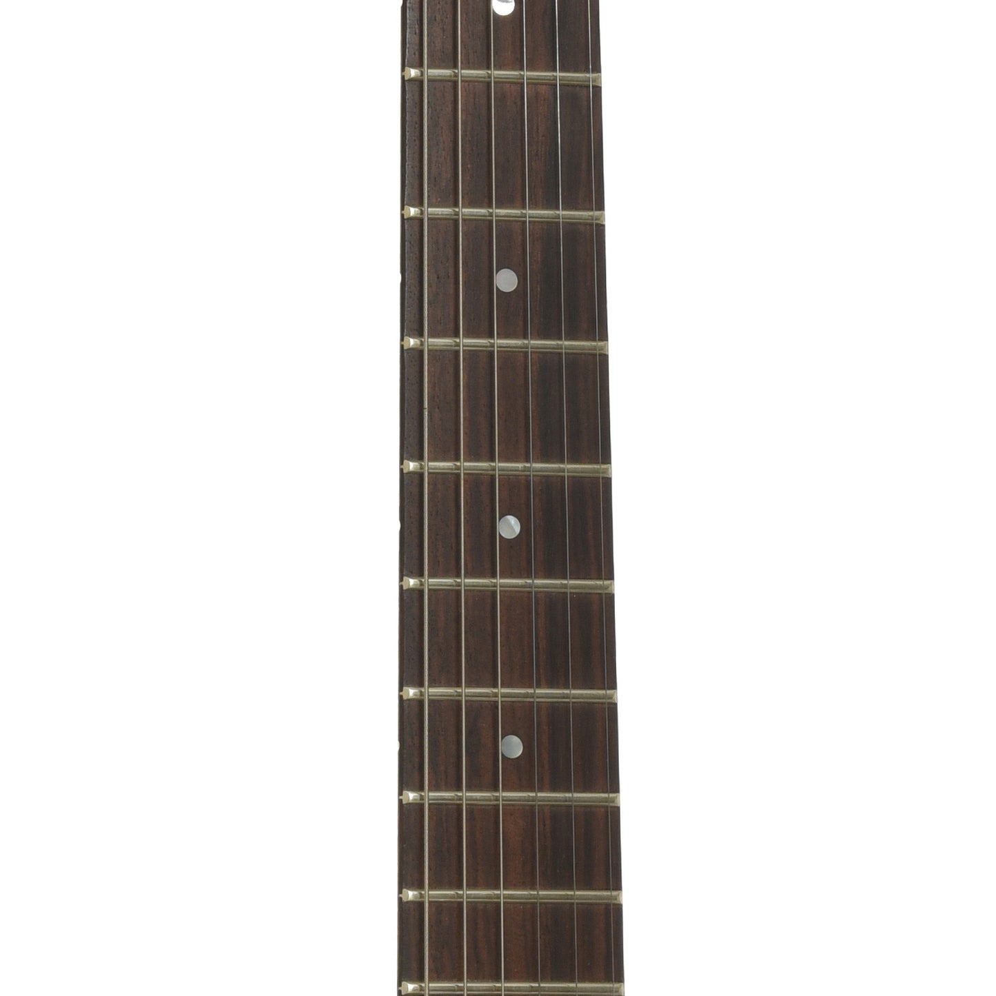 Fretboard of Jerry Jones Electric Sitar   